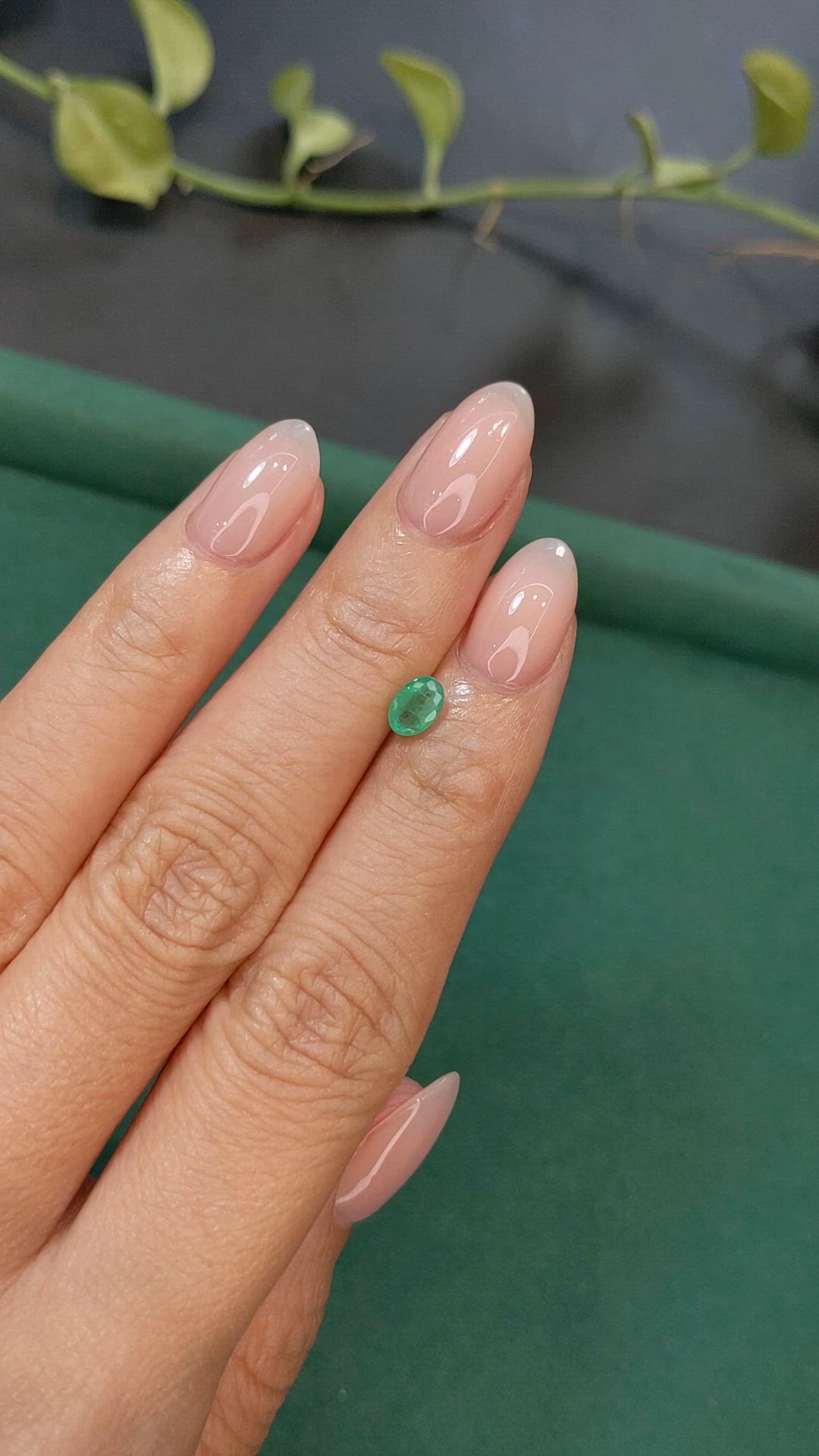 0.50 Ct. Emerald from Zambia Size Video
