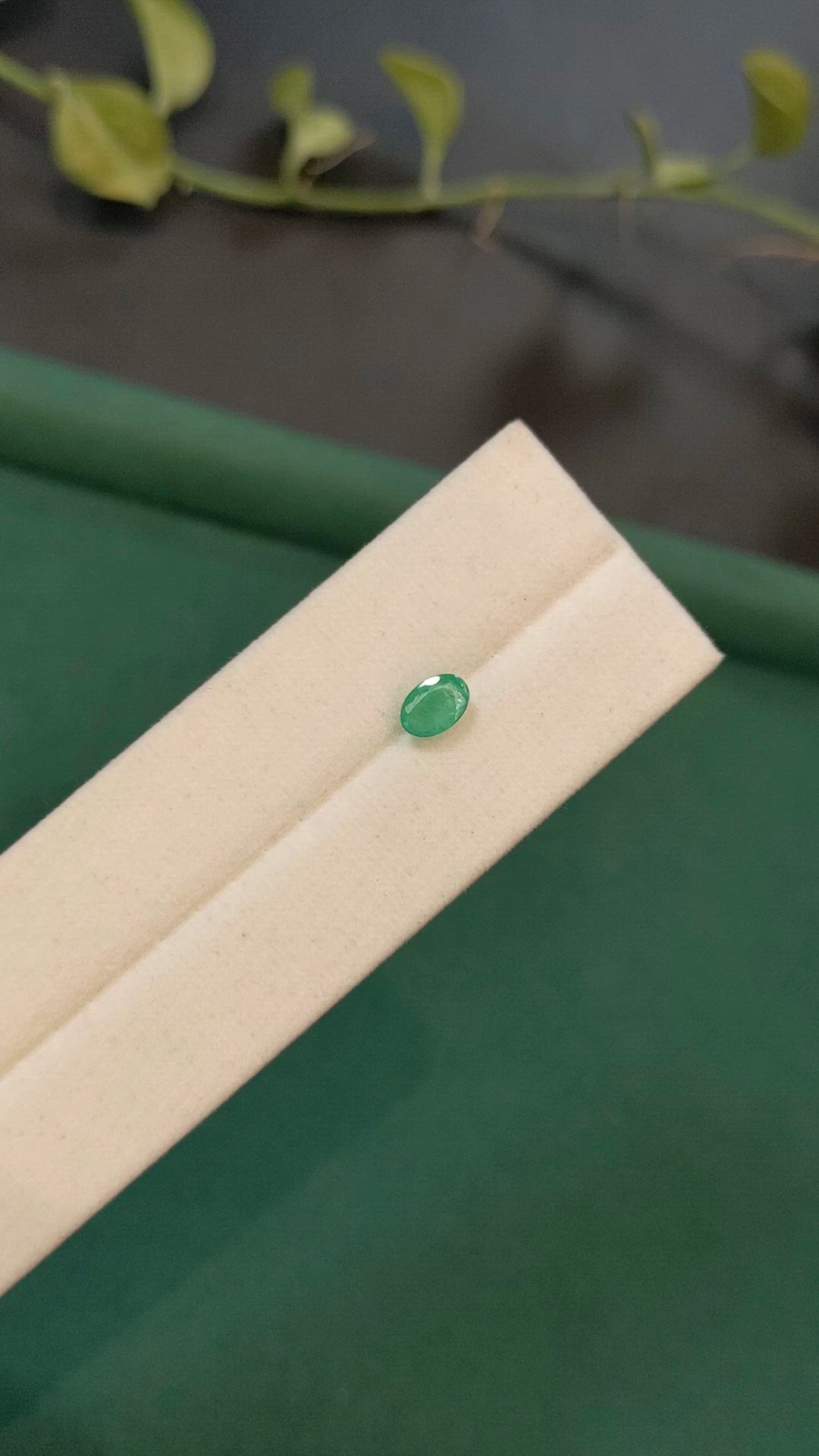 0.50 Ct. Emerald from Zambia Size Video