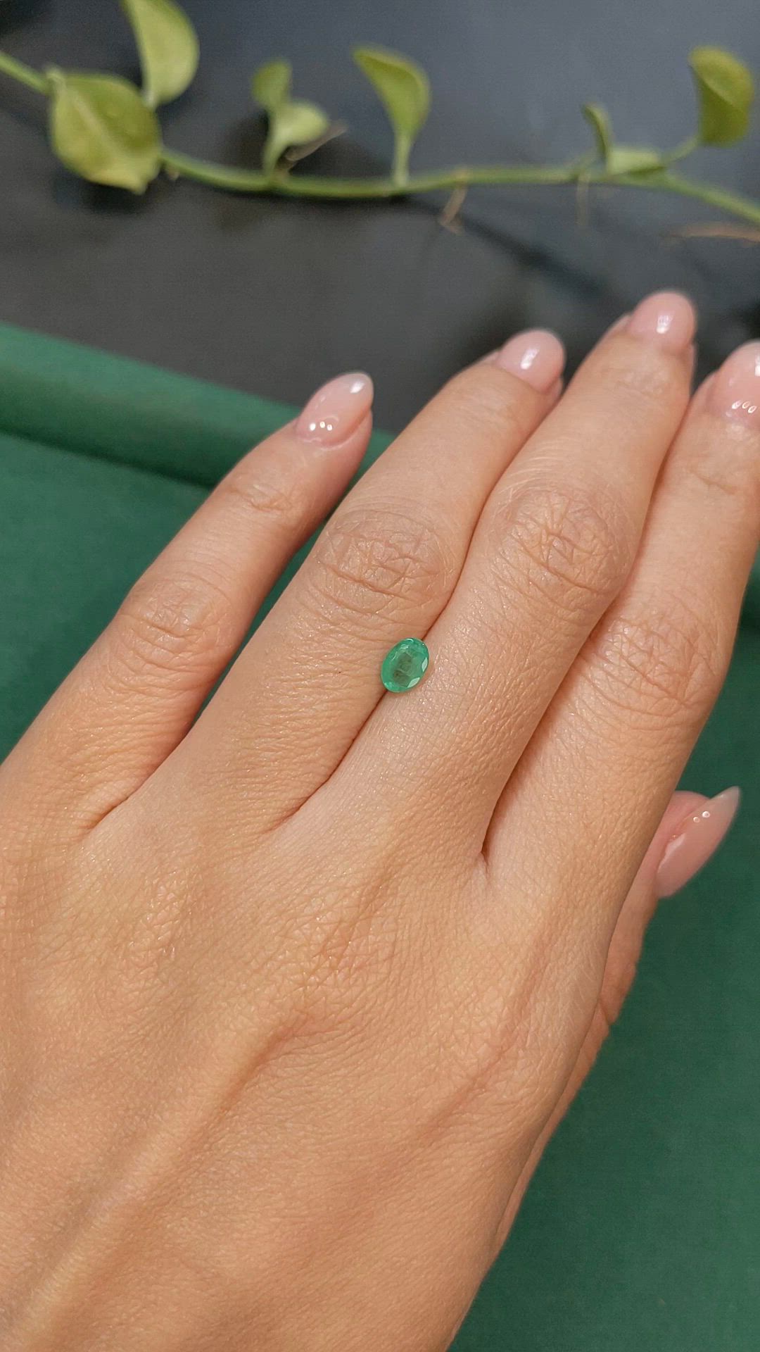 0.50 Ct. Emerald from Zambia Size Video