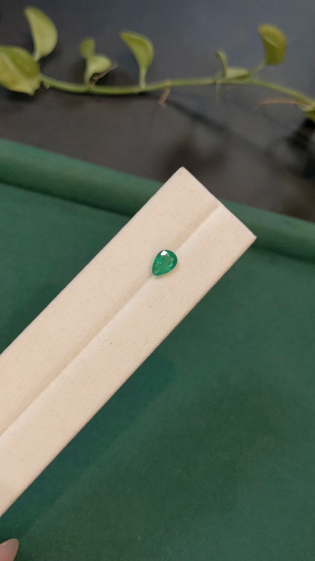 0.67 Ct. Emerald from Zambia Size Video