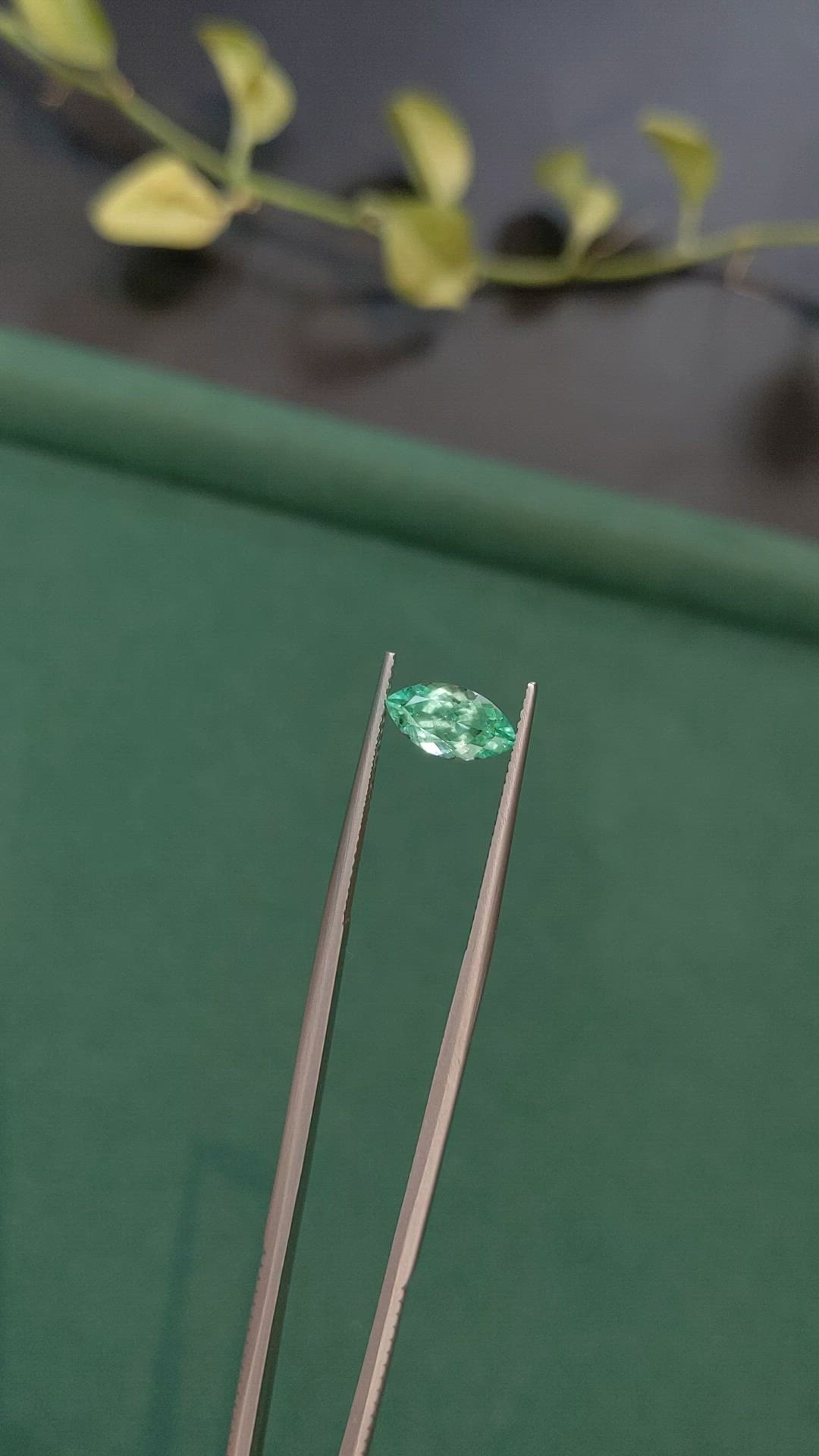 1.06 Ct. Emerald from Russia Size Video
