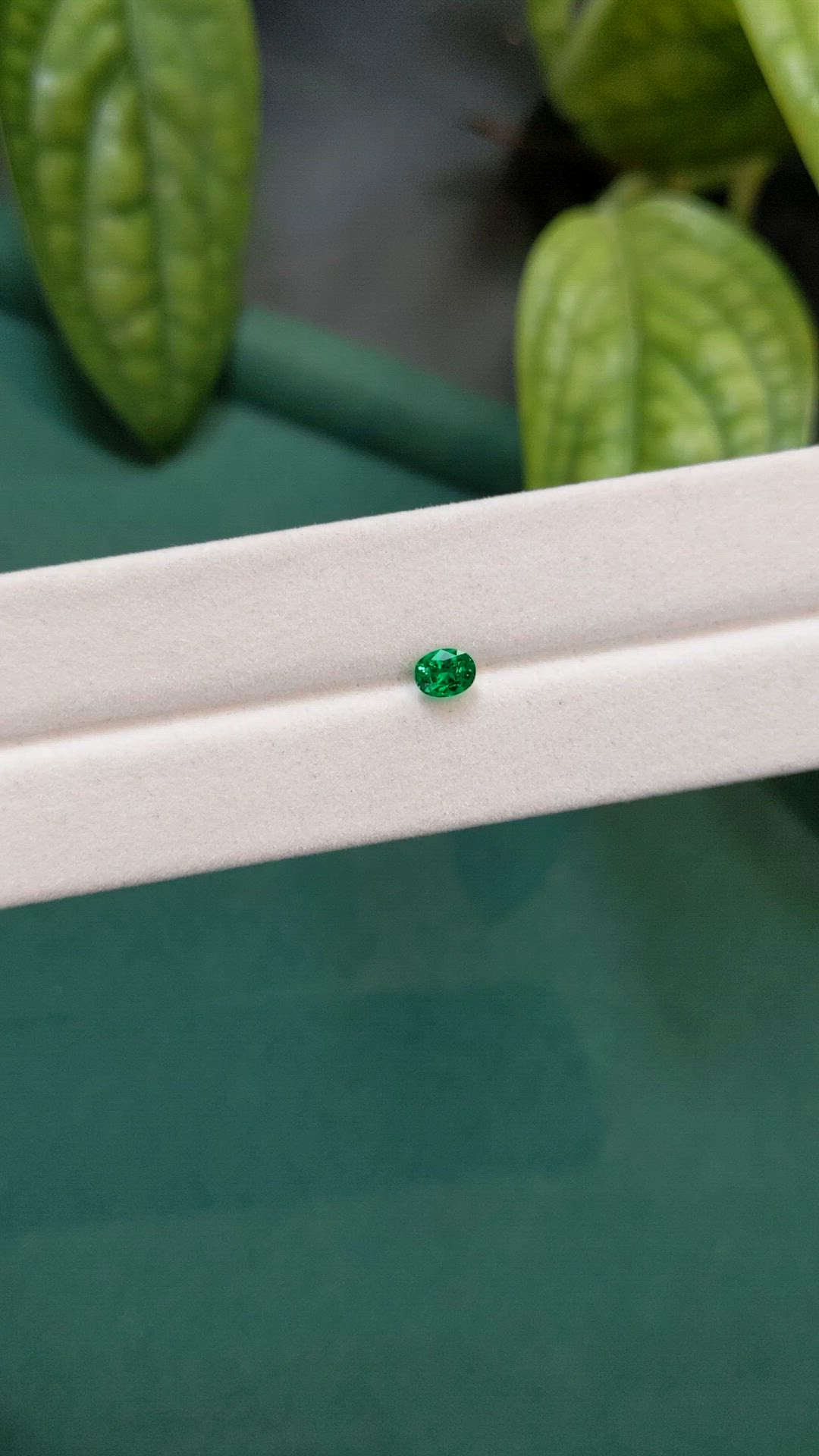 0.31 Ct. Emerald from Russia Size Video