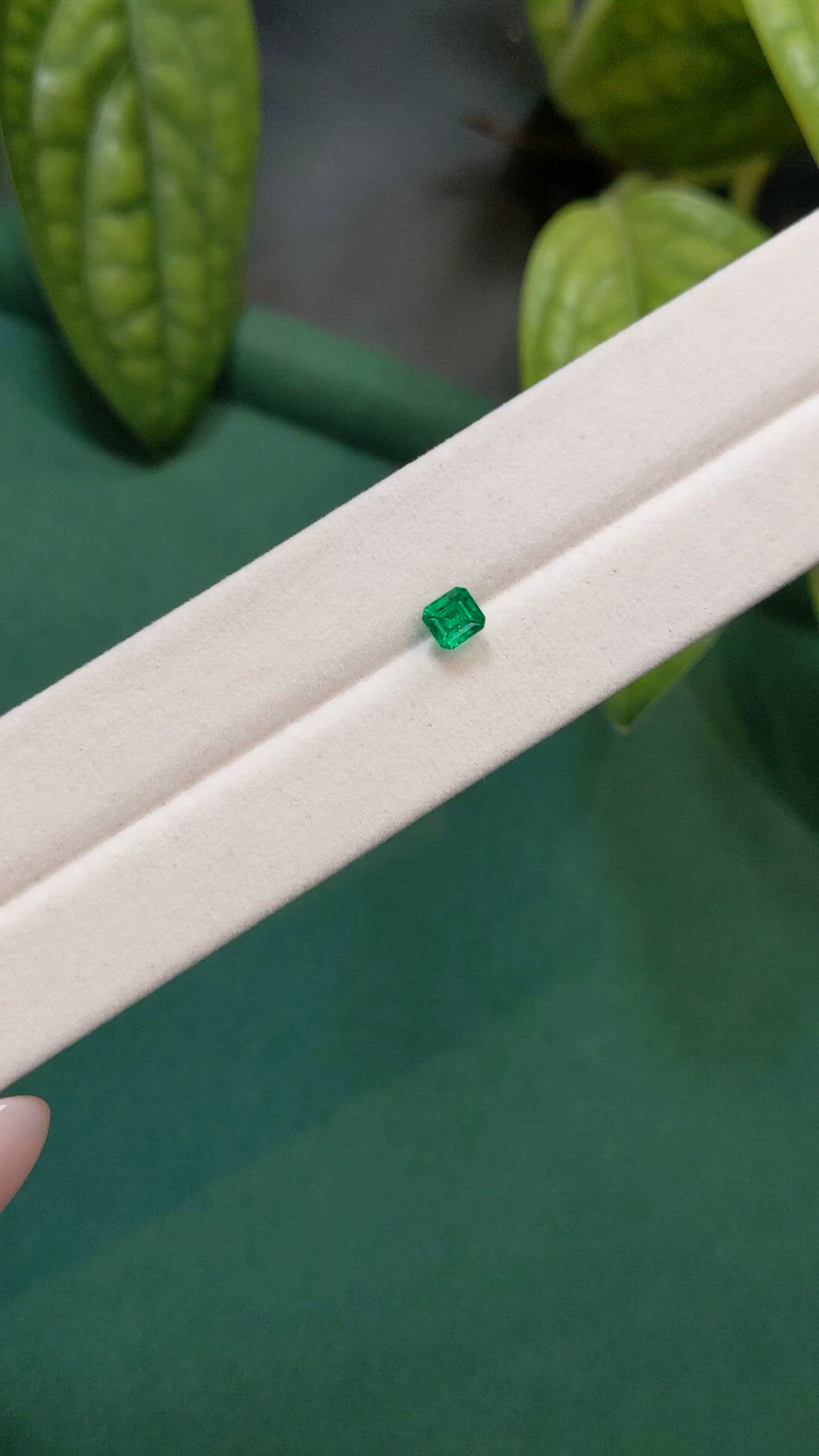 0.48 Ct. Emerald from Russia Size Video