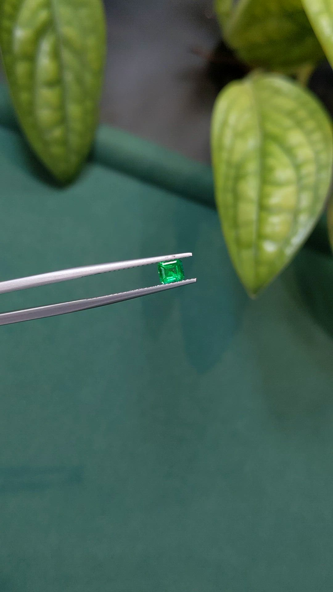 0.48 Ct. Emerald from Russia Size Video