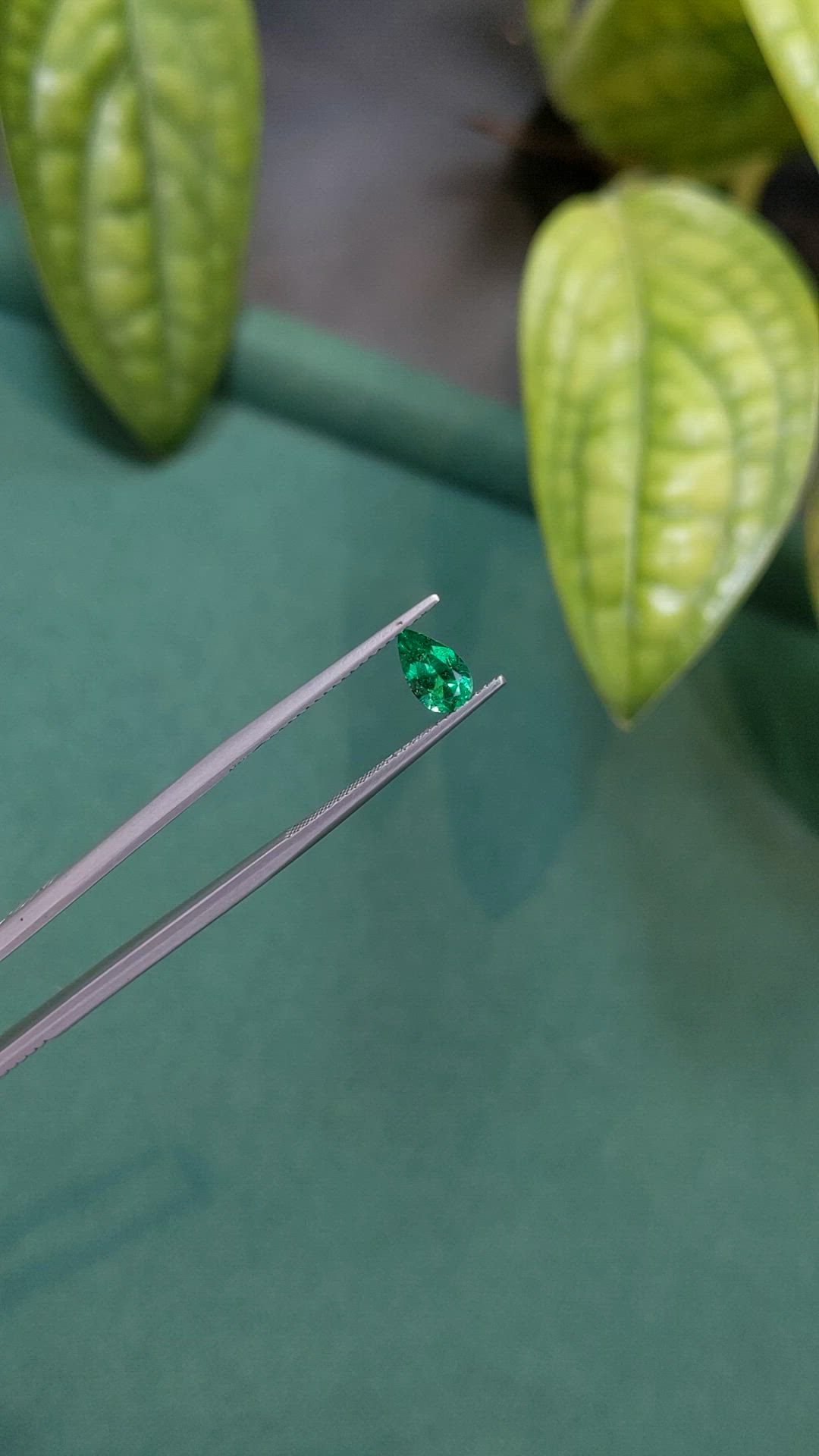 0.51 Ct. Emerald from Russia Size Video