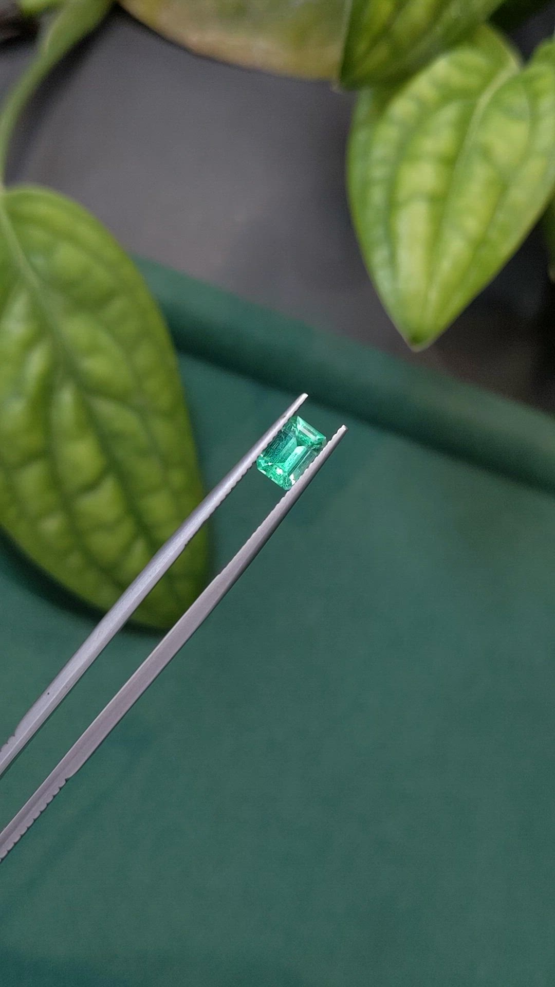 0.94 Ct. Emerald from Russia Size Video