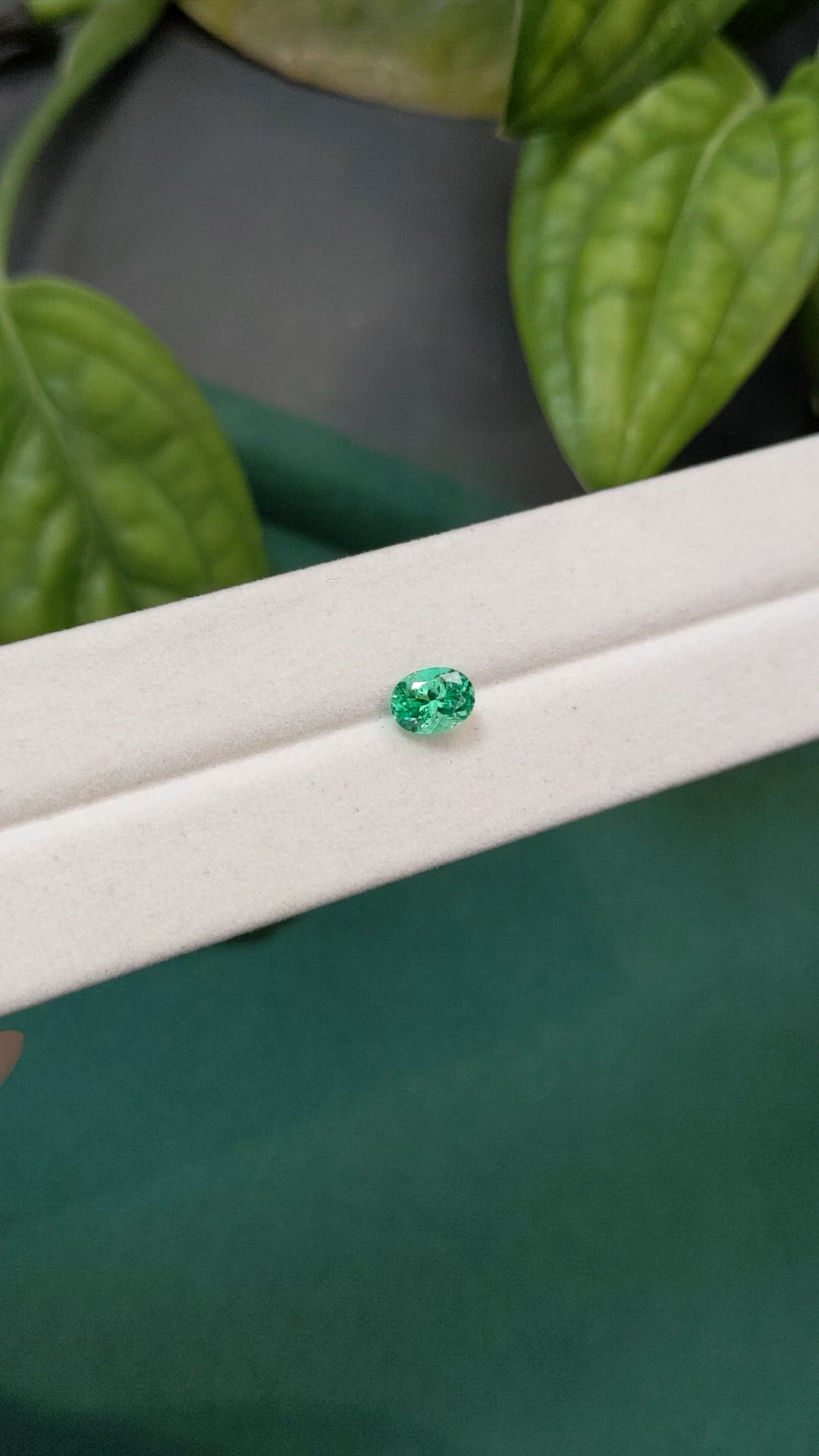 0.79 Ct. Emerald from Russia Size Video