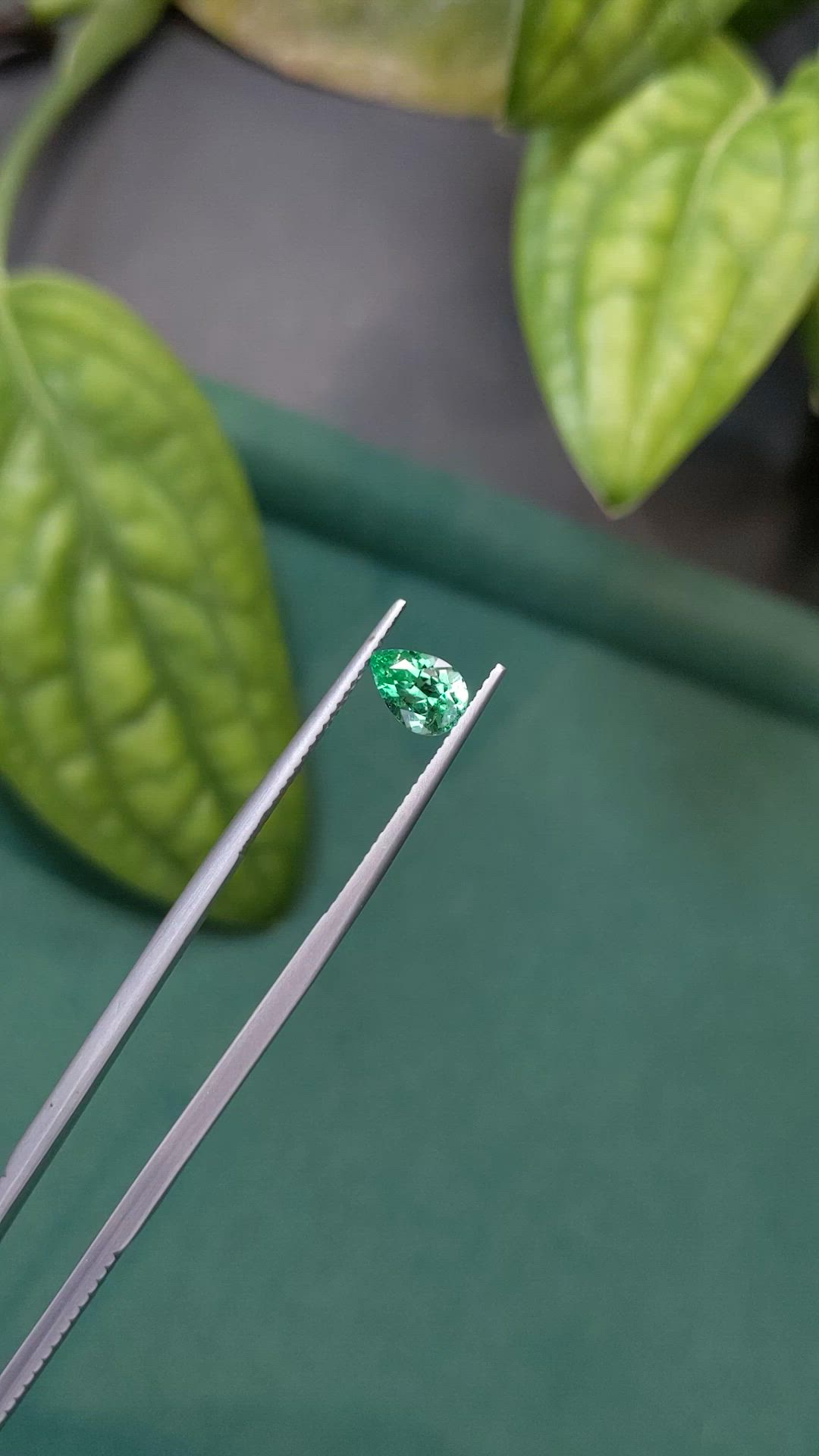0.84 Ct. Emerald from Russia Size Video