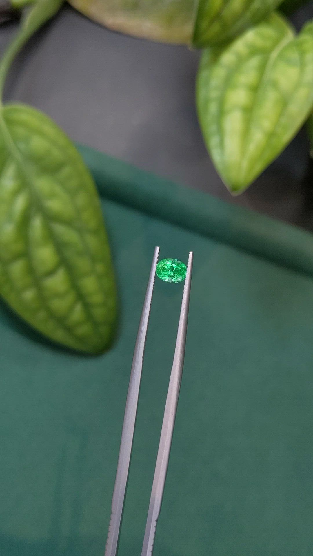 0.46 Ct. Emerald from Russia Size Video