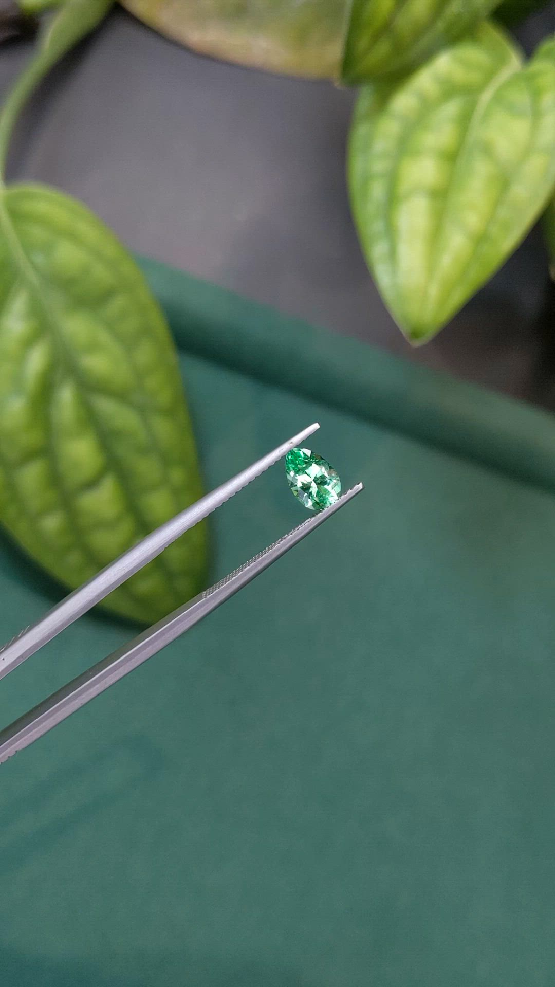 0.65 Ct. Emerald from Russia Size Video