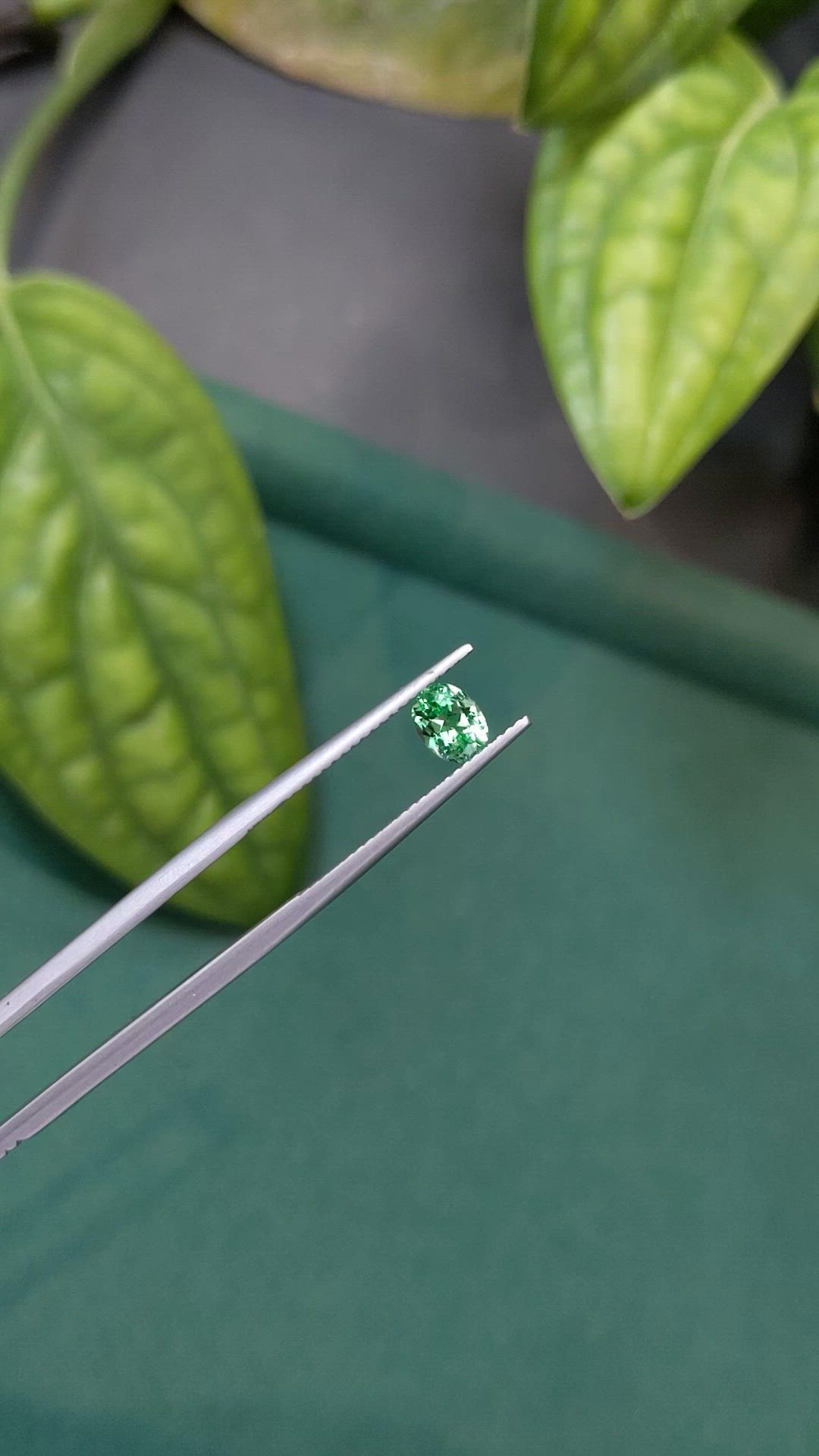 0.52 Ct. Emerald from Russia Size Video