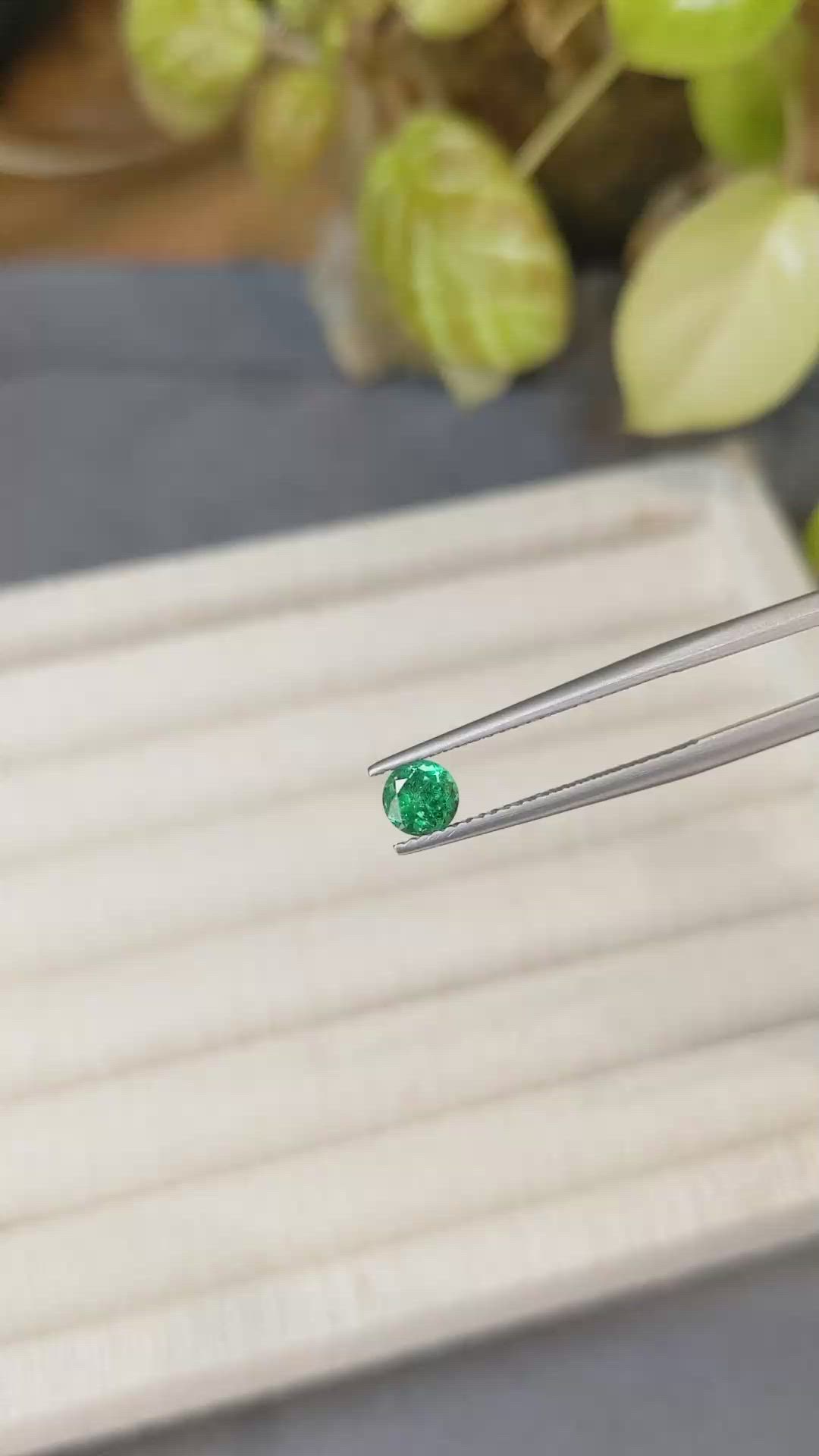 0.46 Ct. Emerald from Russia Size Video