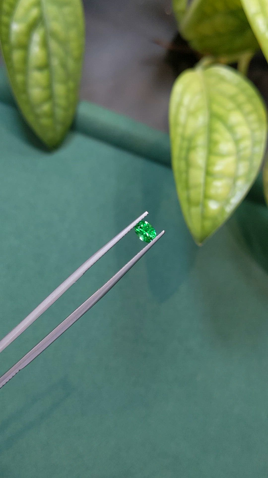 0.33 Ct. Emerald from Russia Size Video