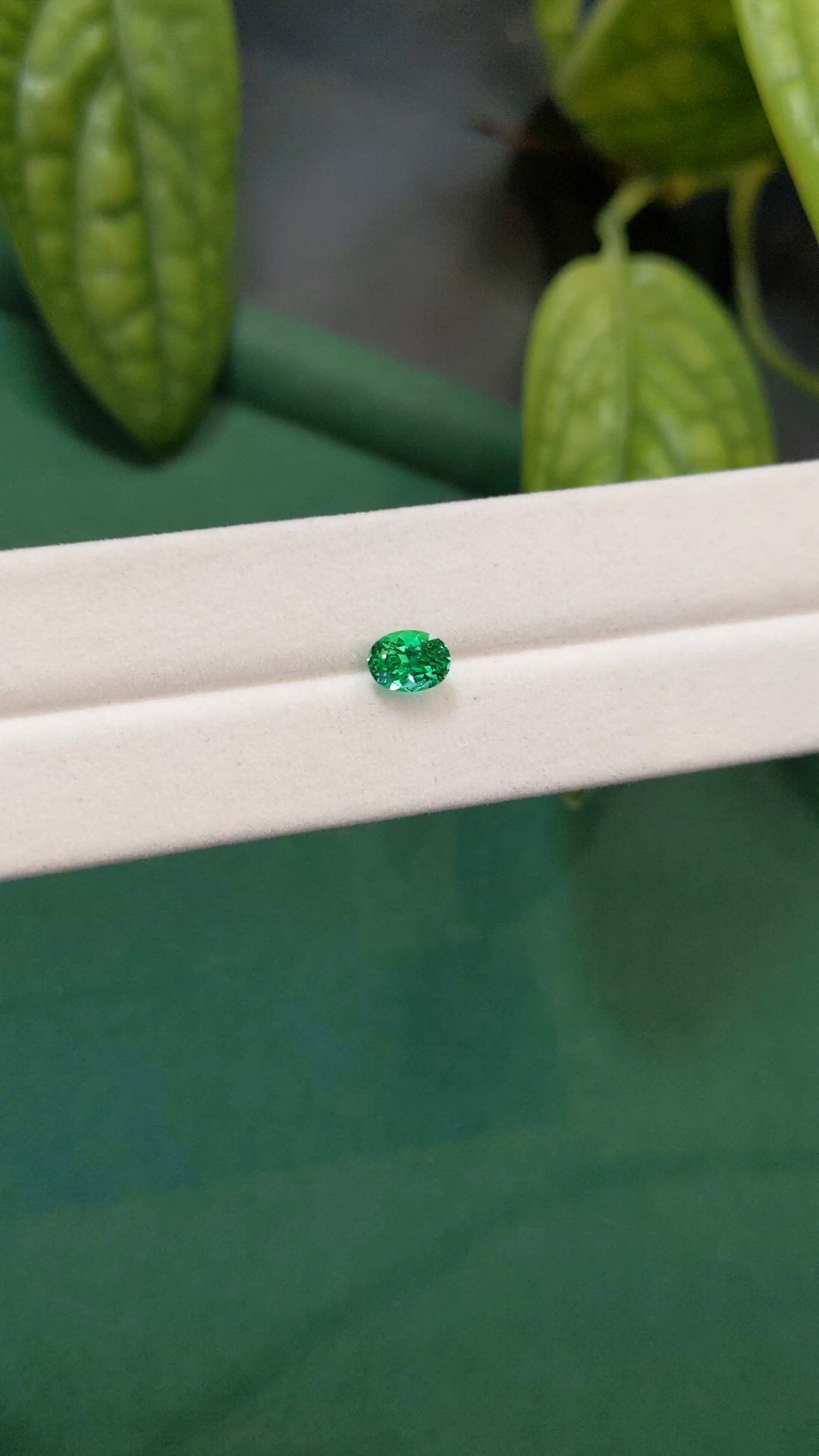 0.80 Ct. Emerald from Russia Size Video
