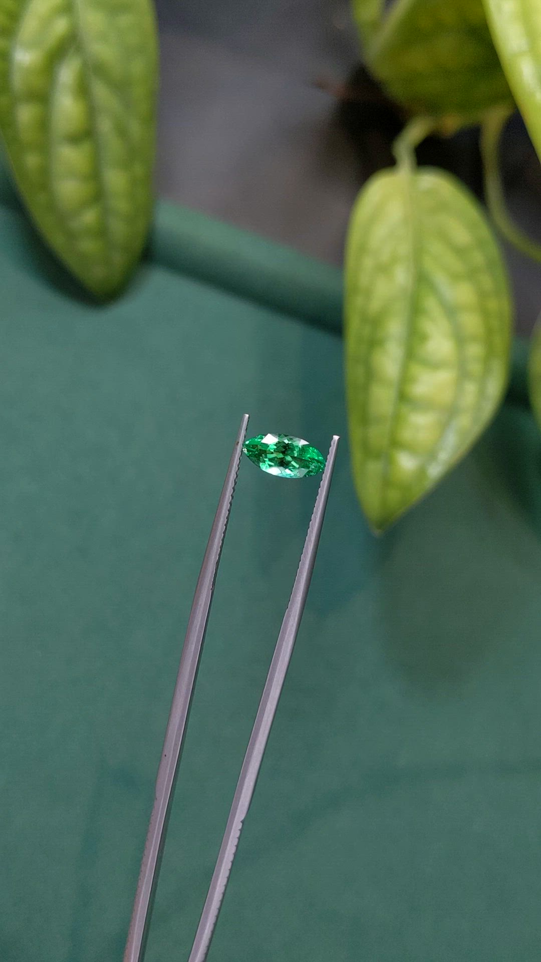 0.80 Ct. Emerald from Russia Size Video