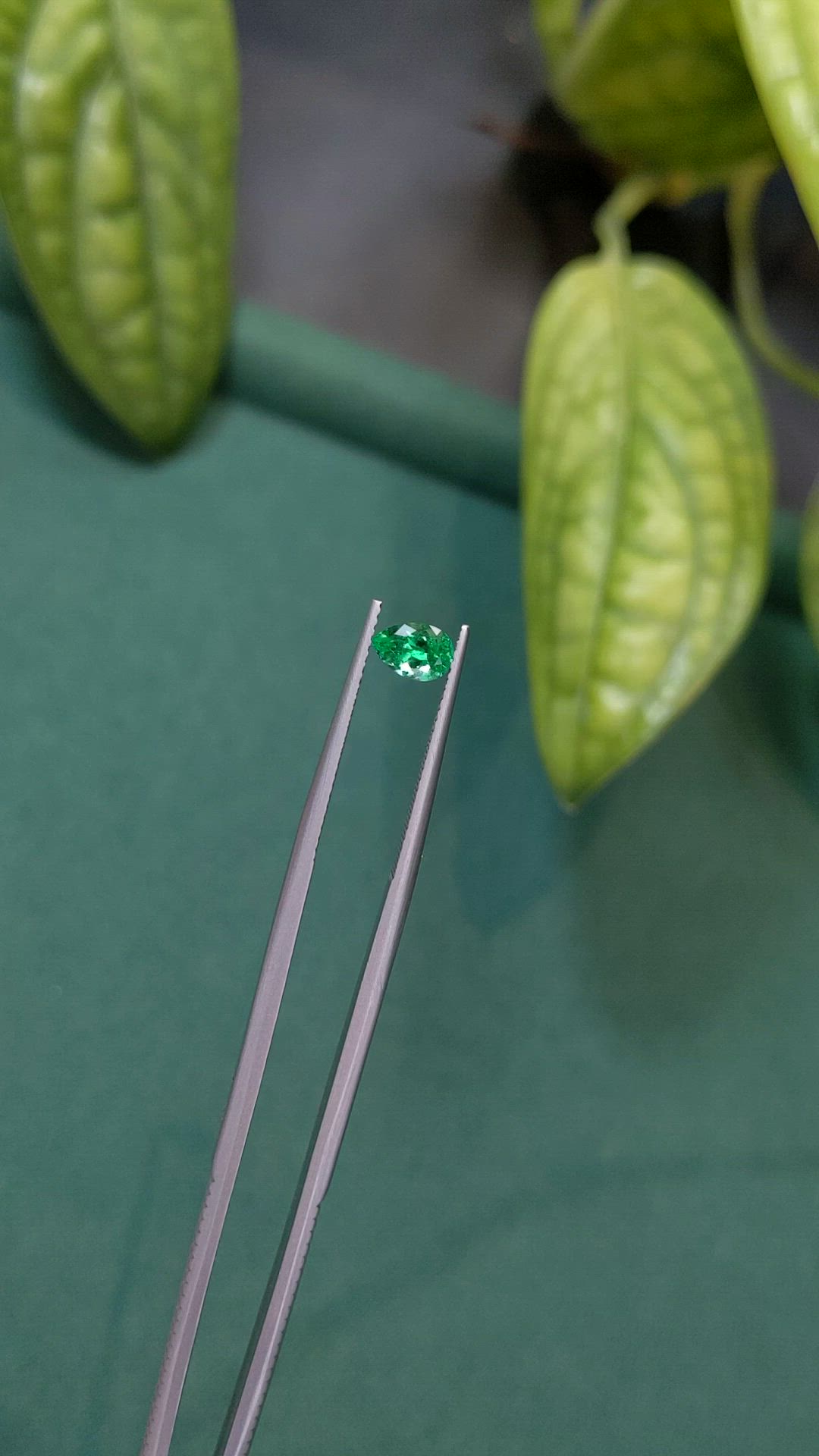 0.54 Ct. Emerald from Russia Size Video