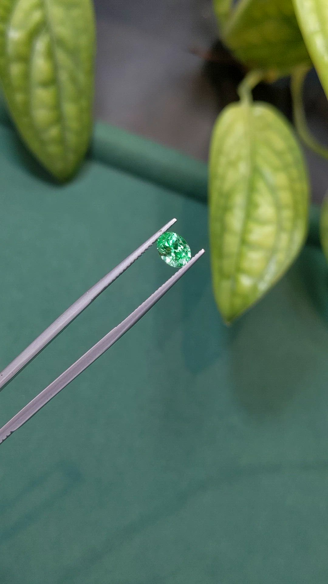 0.82 Ct. Emerald from Russia Size Video