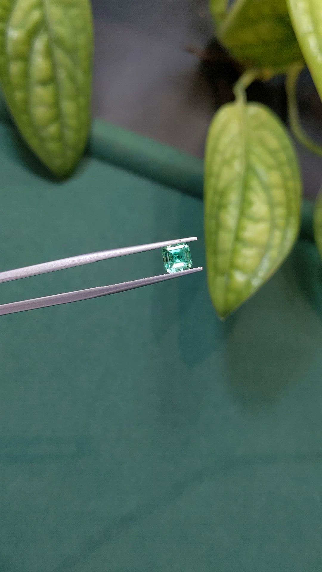 0.88 Ct. Emerald from Russia Size Video