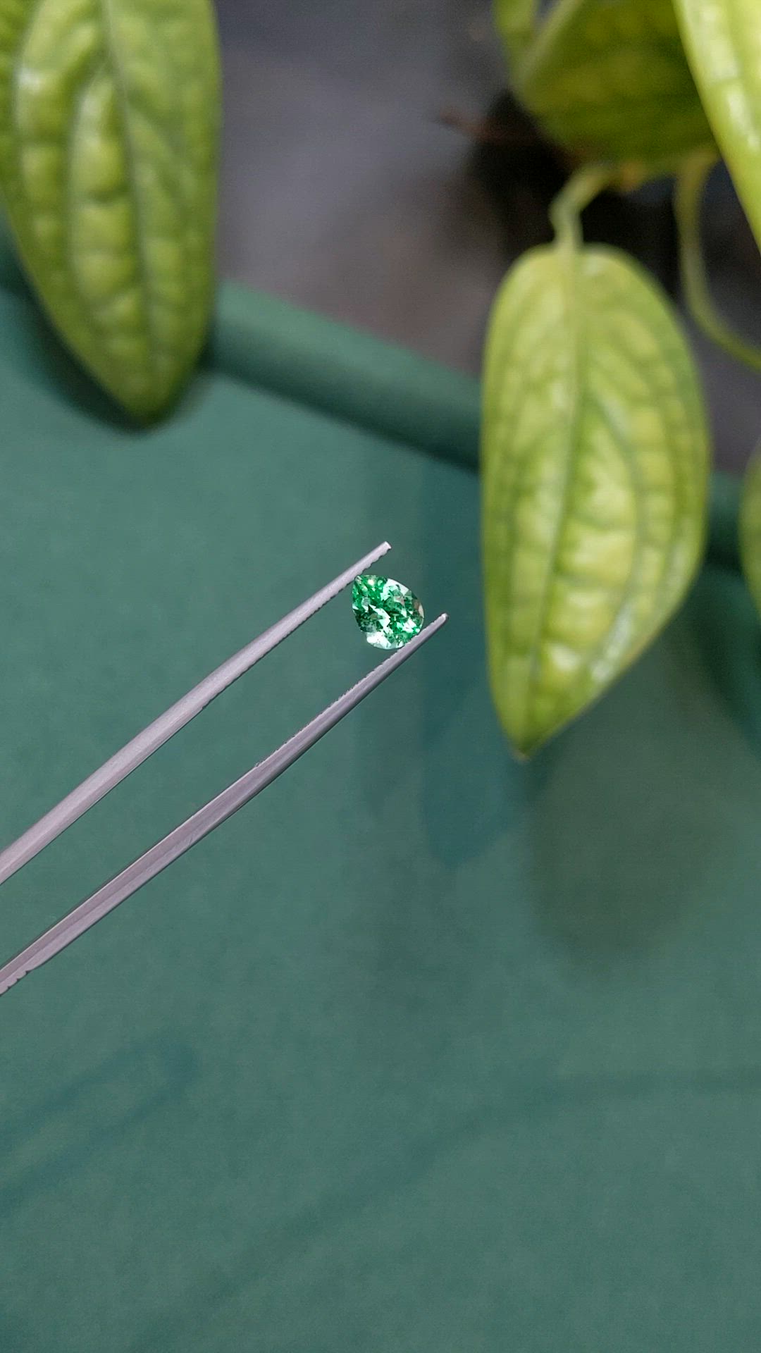0.80 Ct. Emerald from Russia Size Video