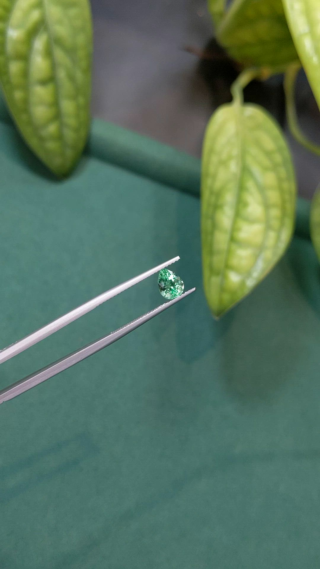 0.78 Ct. Emerald from Russia Size Video