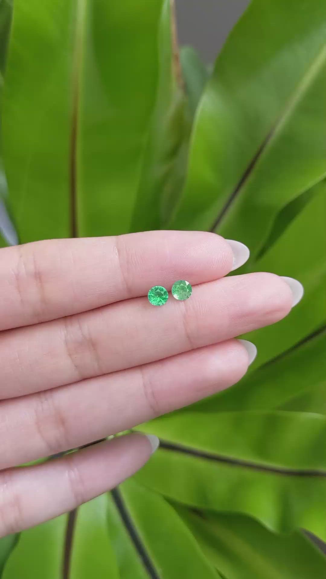 0.56 Ct.Tw. Emerald Studs Earrings, 14K White Gold Size Video