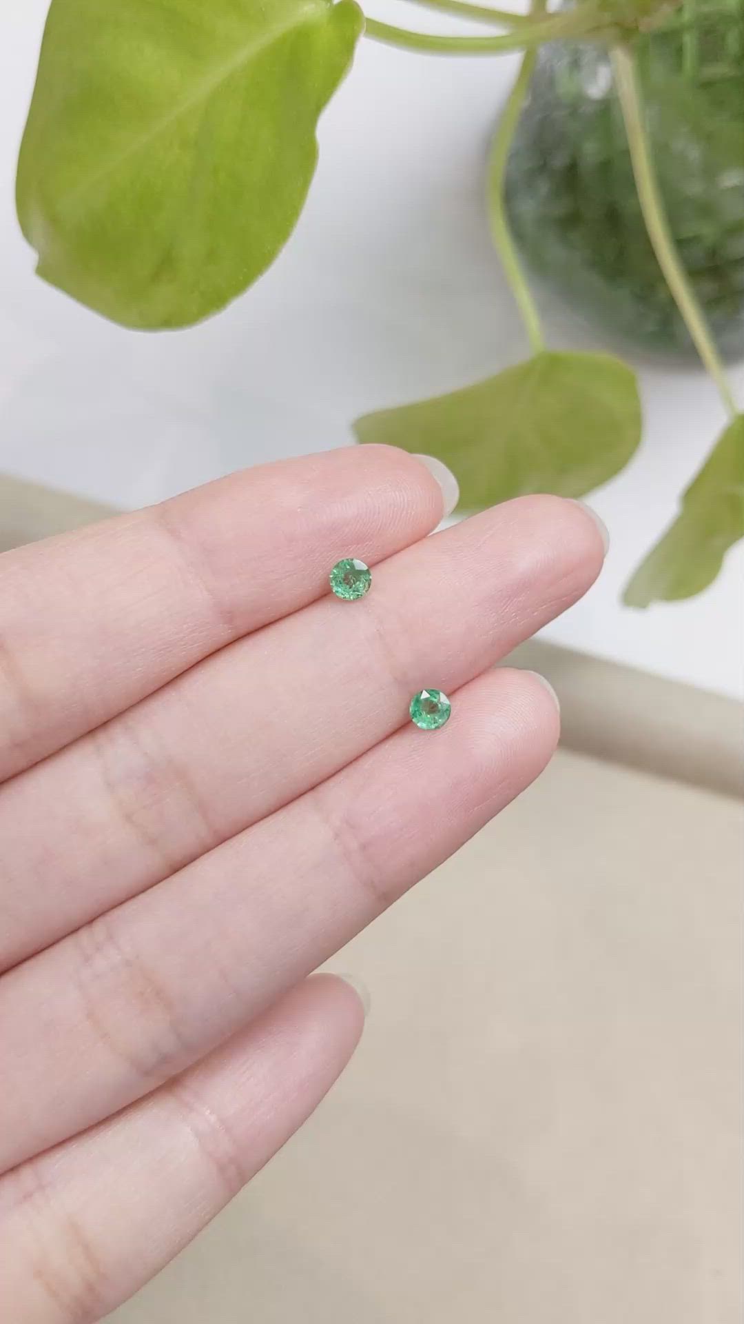 0.41 Ct.Tw.Total Carat Weight Emerald Pair from Zambia Size Video