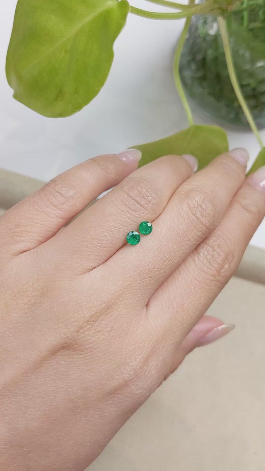 0.50 Ct.Tw.Total Carat Weight Emerald Pair from Colombia Size Video