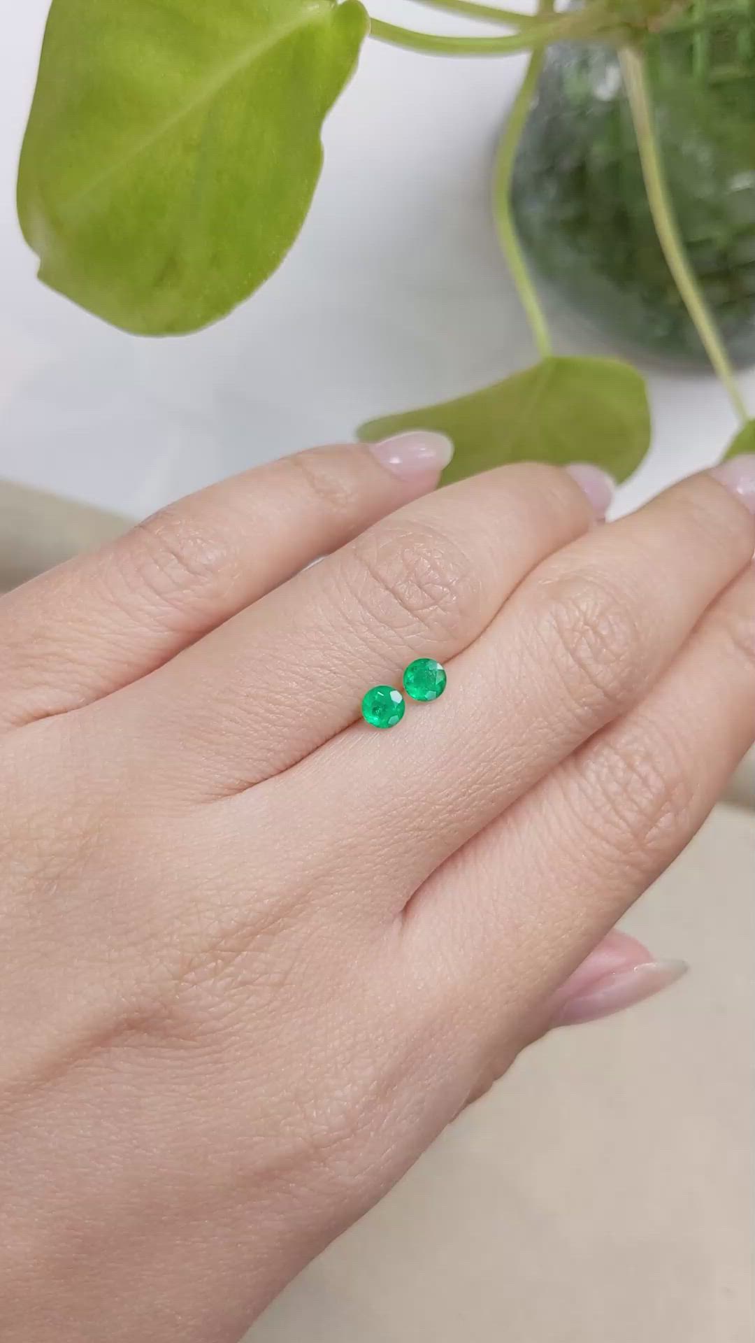 0.51 Ct.Tw.Total Carat Weight Emerald Pair from Colombia Size Video