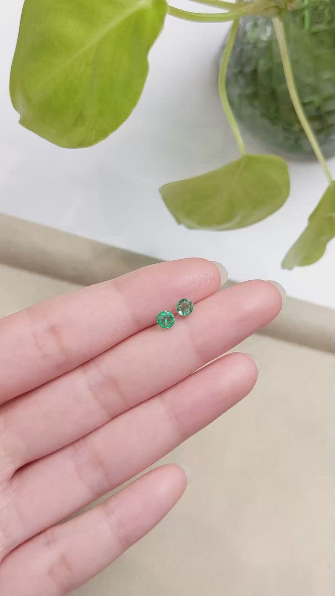 0.64 Ct.Tw.Total Carat Weight Emerald Pair from Zambia Size Video
