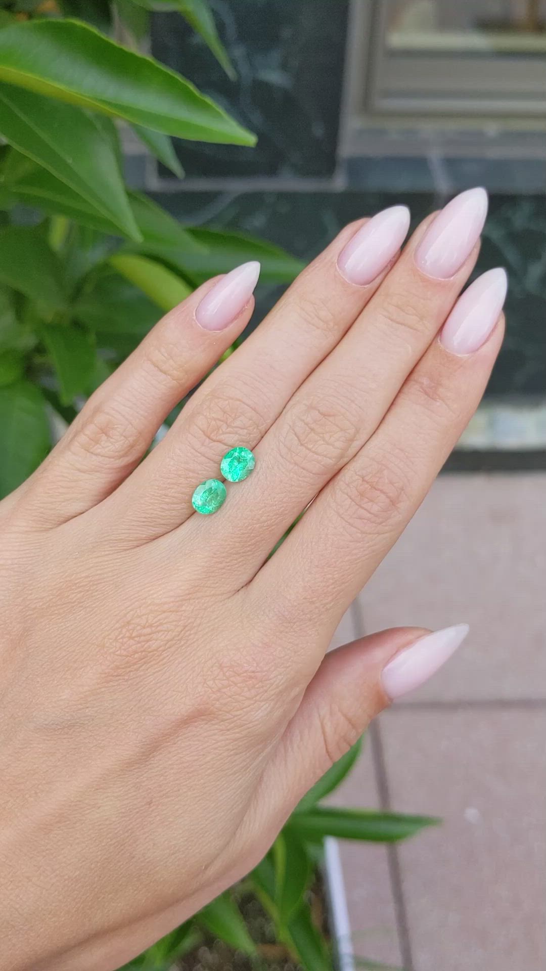 1.44 Ct.Tw.Total Carat Weight Emerald Pair from Colombia Size Video