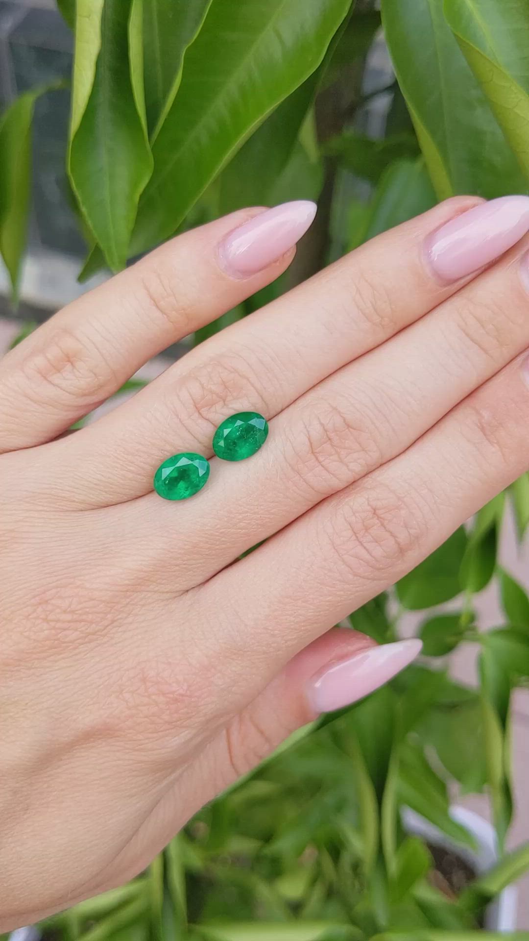 3.15 Ct.Tw.Total Carat Weight Emerald Pair from Colombia Size Video