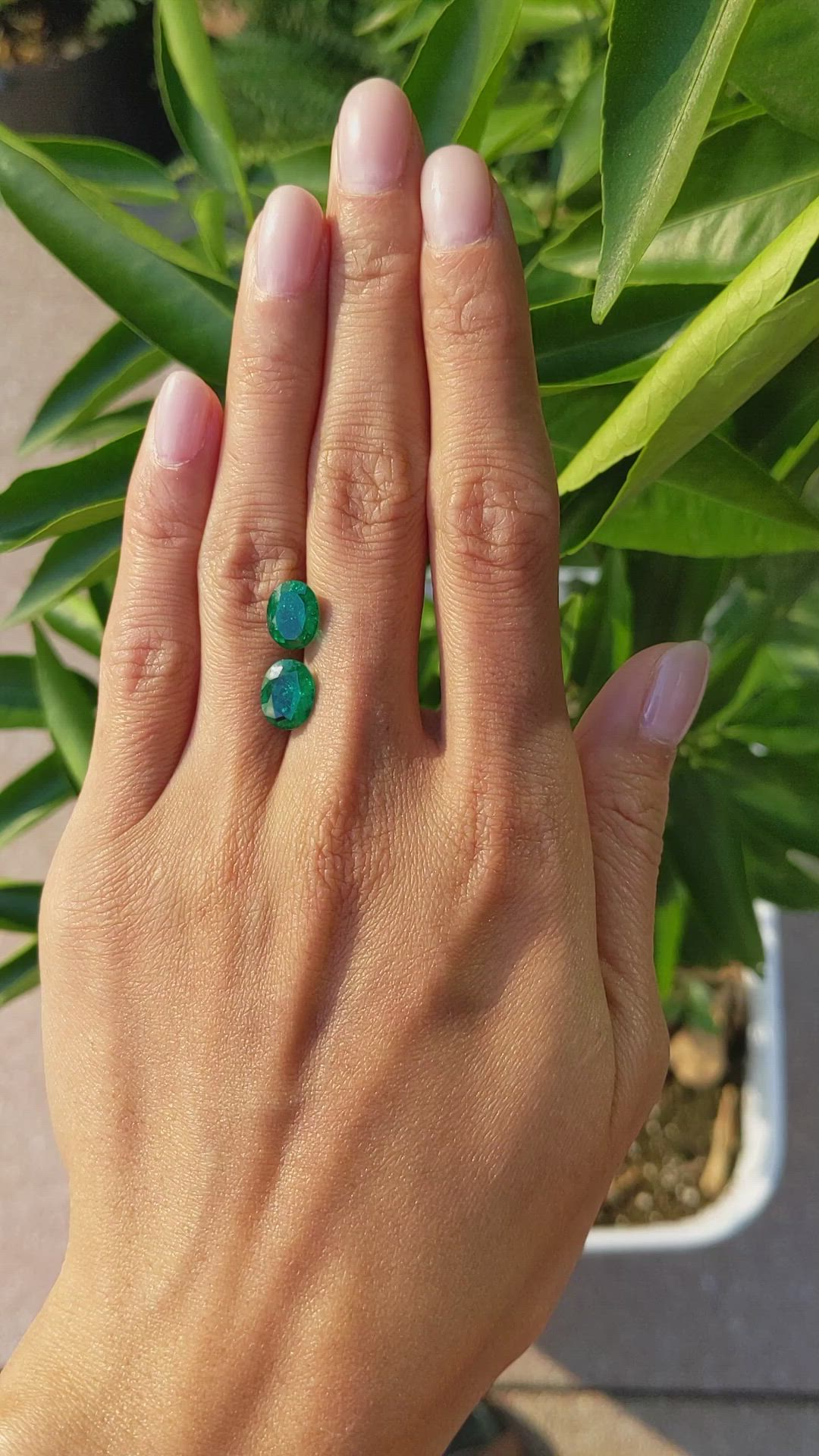 1.84 Ct.Tw.Total Carat Weight Emerald Pair from Colombia Size Video