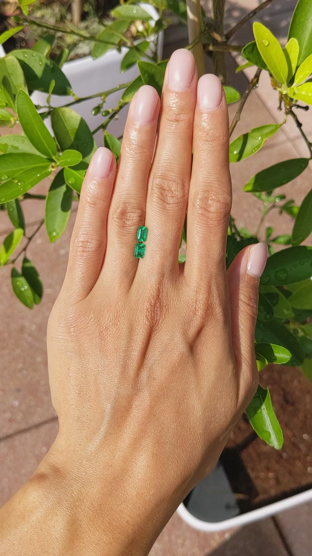 1.11 Ct.Tw.Total Carat Weight Emerald Pair from Afghanistan Size Video