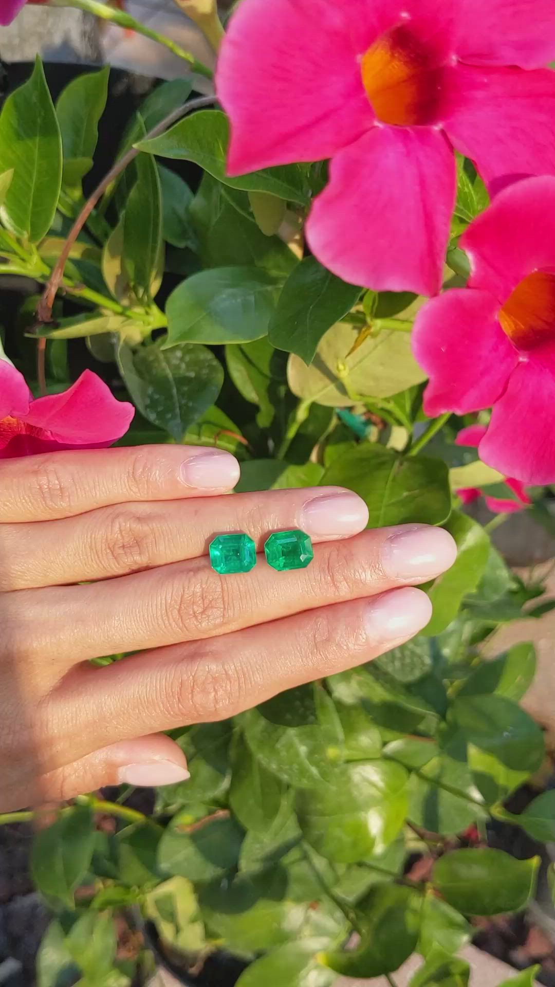 5.92 Ct.Tw.Total Carat Weight Emerald Pair from Colombia Size Video