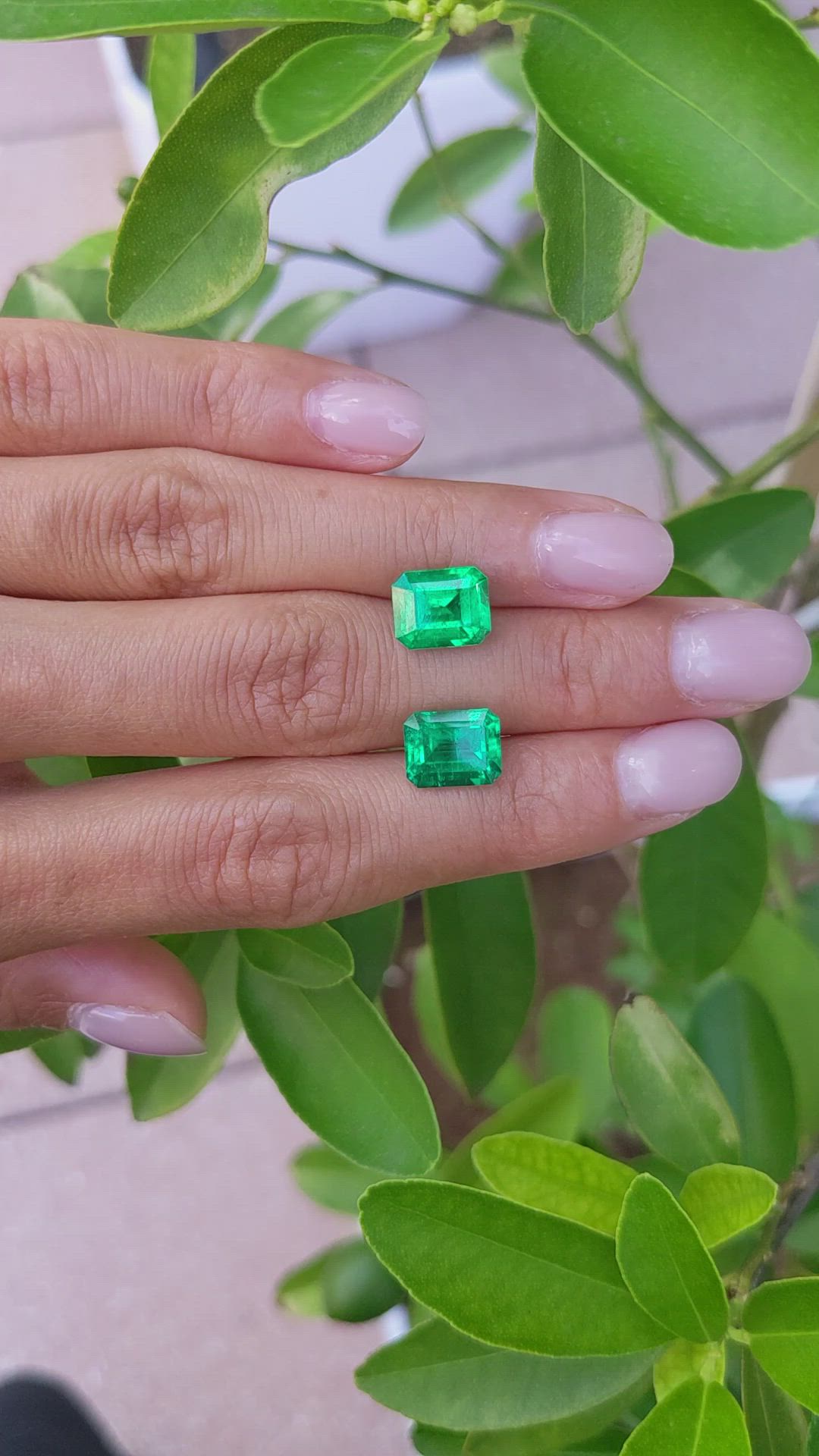 6.04 Ct.Tw.Total Carat Weight Emerald Pair from Colombia Size Video