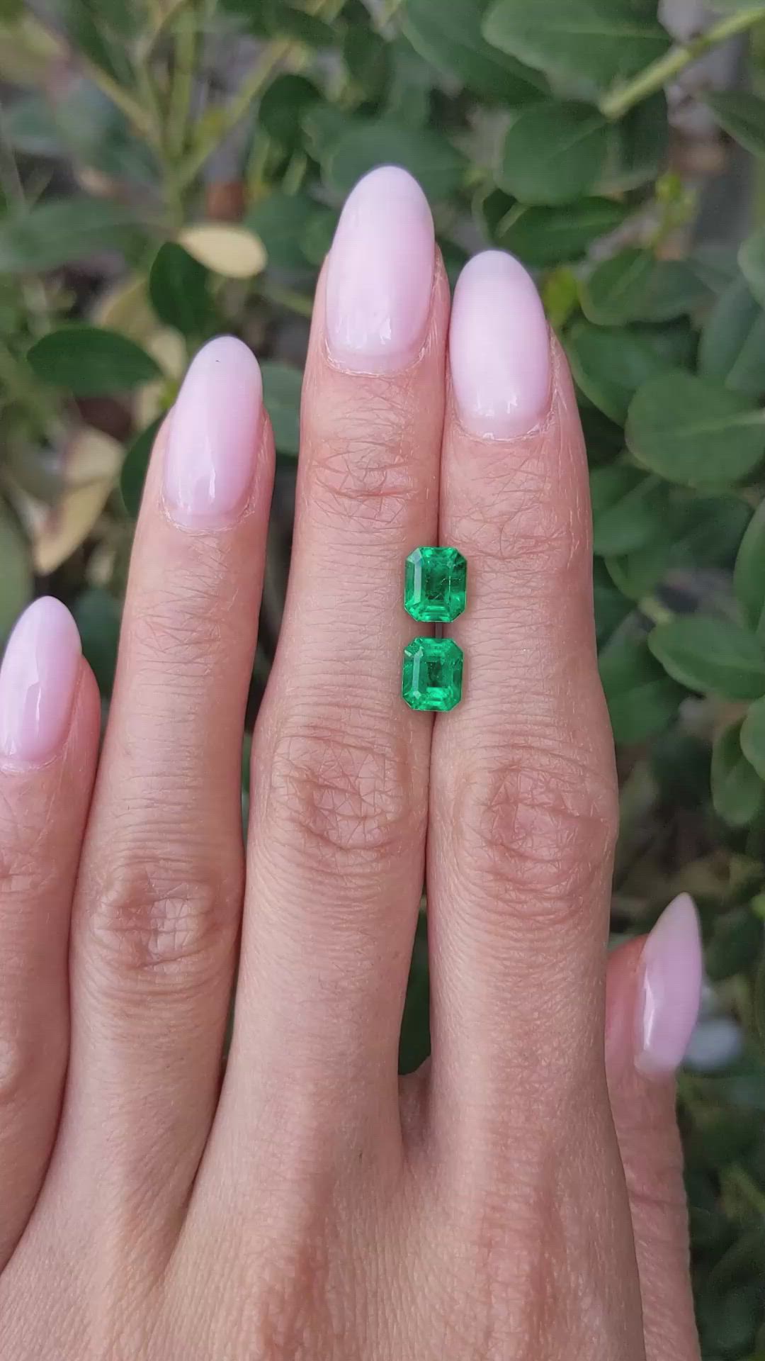 2.37 Ct.Tw.Total Carat Weight Emerald Pair from Zambia Size Video