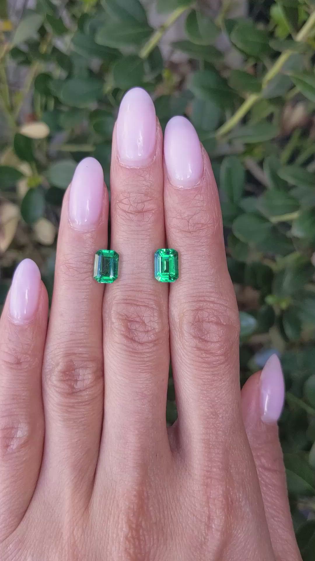 3.43 Ct.Tw.Total Carat Weight Emerald Pair from Zambia Size Video