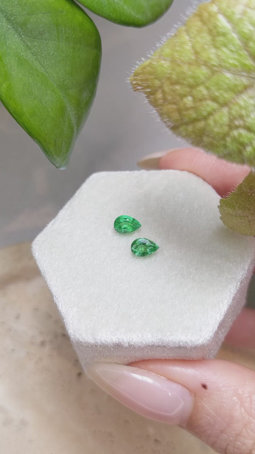 0.69 Ct.Tw.Total Carat Weight Emerald Pair from Zambia Size Video