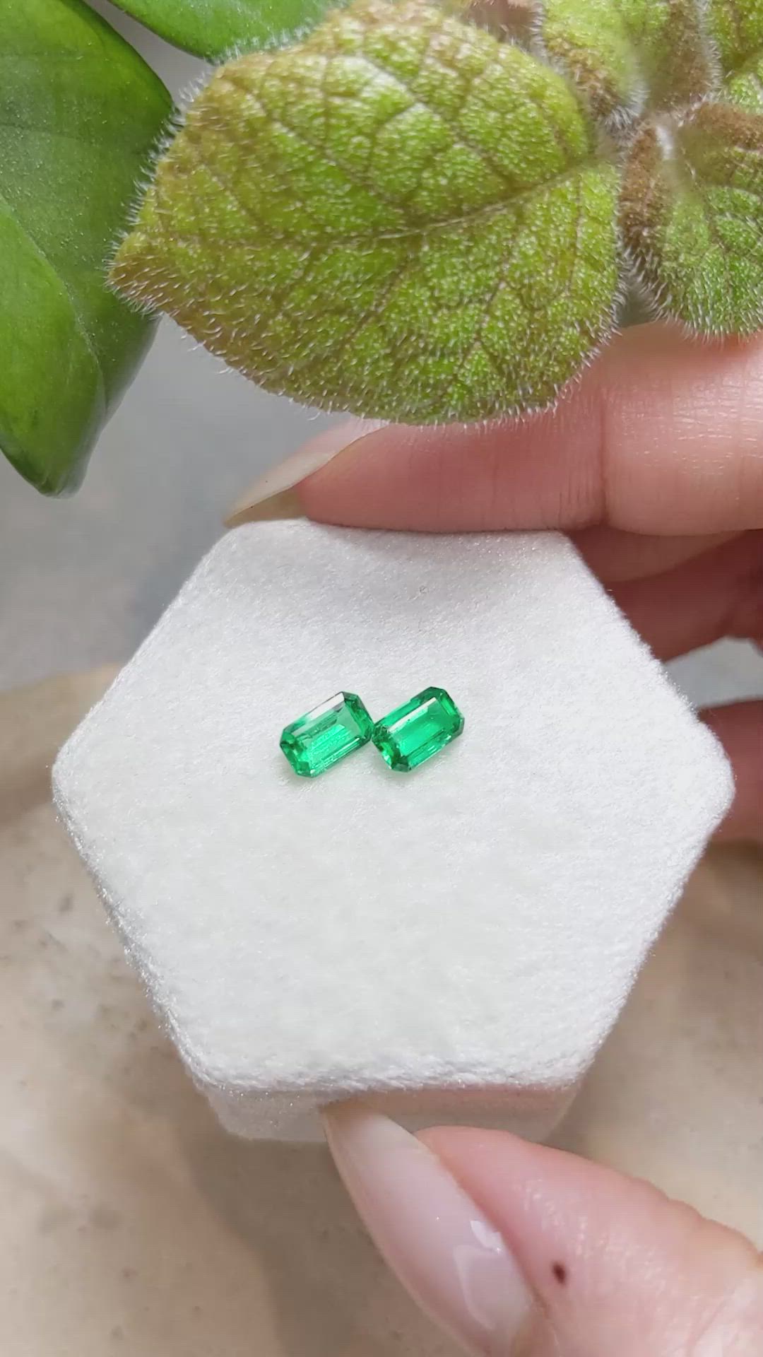 1.30 Ct.Tw.Total Carat Weight Emerald Pair from Afghanistan Size Video