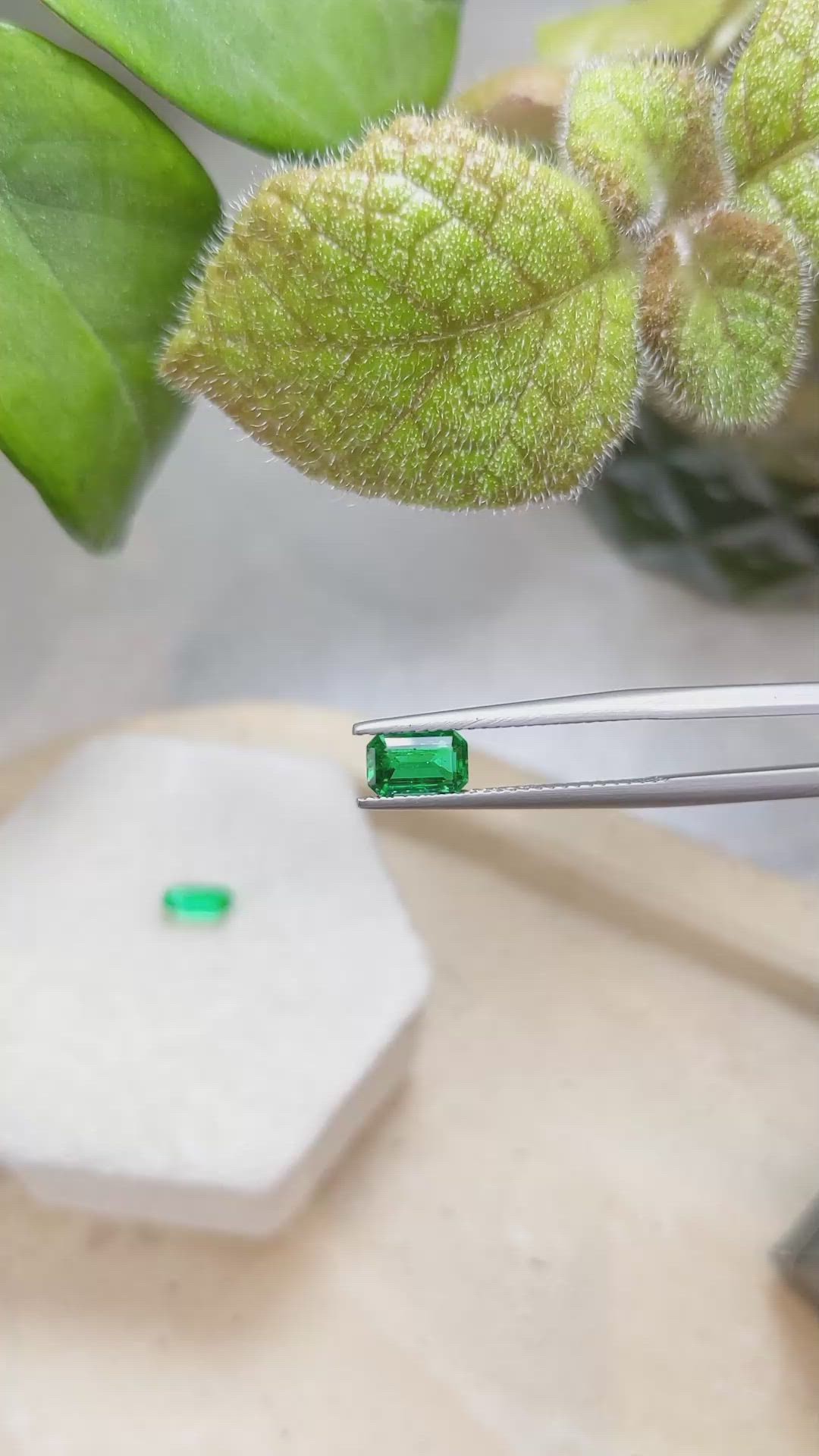 1.30 Ct.Tw.Total Carat Weight Emerald Pair from Afghanistan Size Video