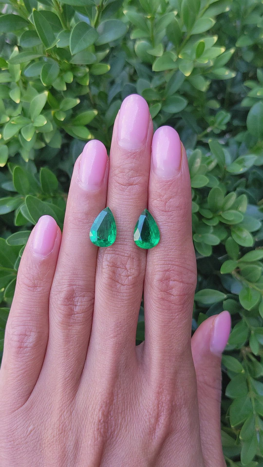 6.77 Ct.Tw.Total Carat Weight Emerald Pair from Zambia Size Video