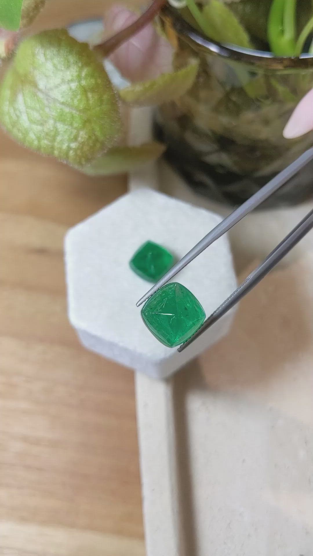 13.16&nbsp;Ct.Tw.Total Carat Weight Cabochon Emerald Pair from Zambia Size Video