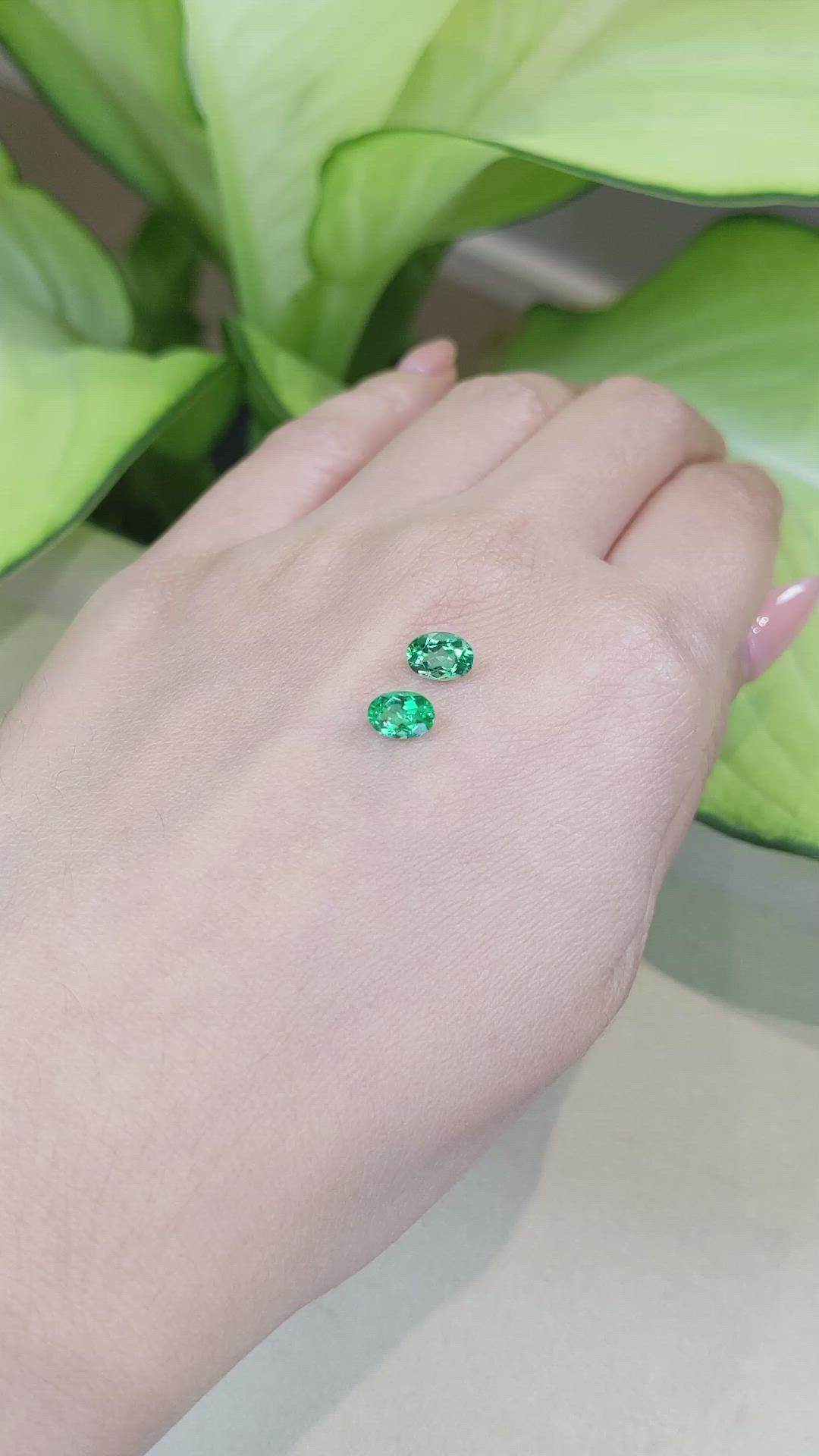 1.31 Ct.Tw.Total Carat Weight Emerald Pair from Afghanistan Size Video