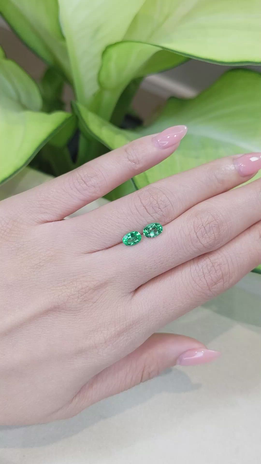 1.31 Ct.Tw.Total Carat Weight Emerald Pair from Afghanistan Size Video