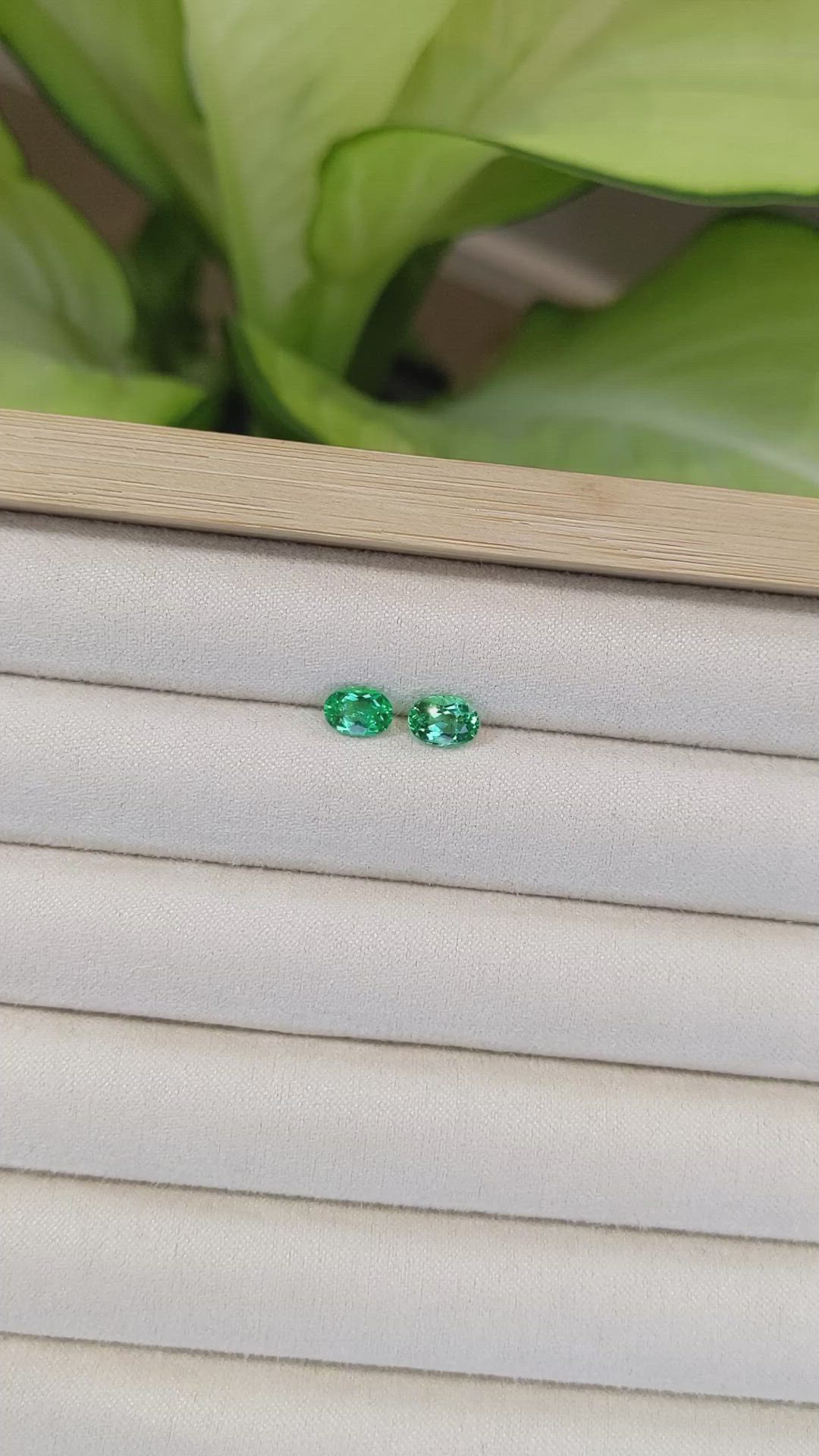 1.31 Ct.Tw.Total Carat Weight Emerald Pair from Afghanistan Size Video