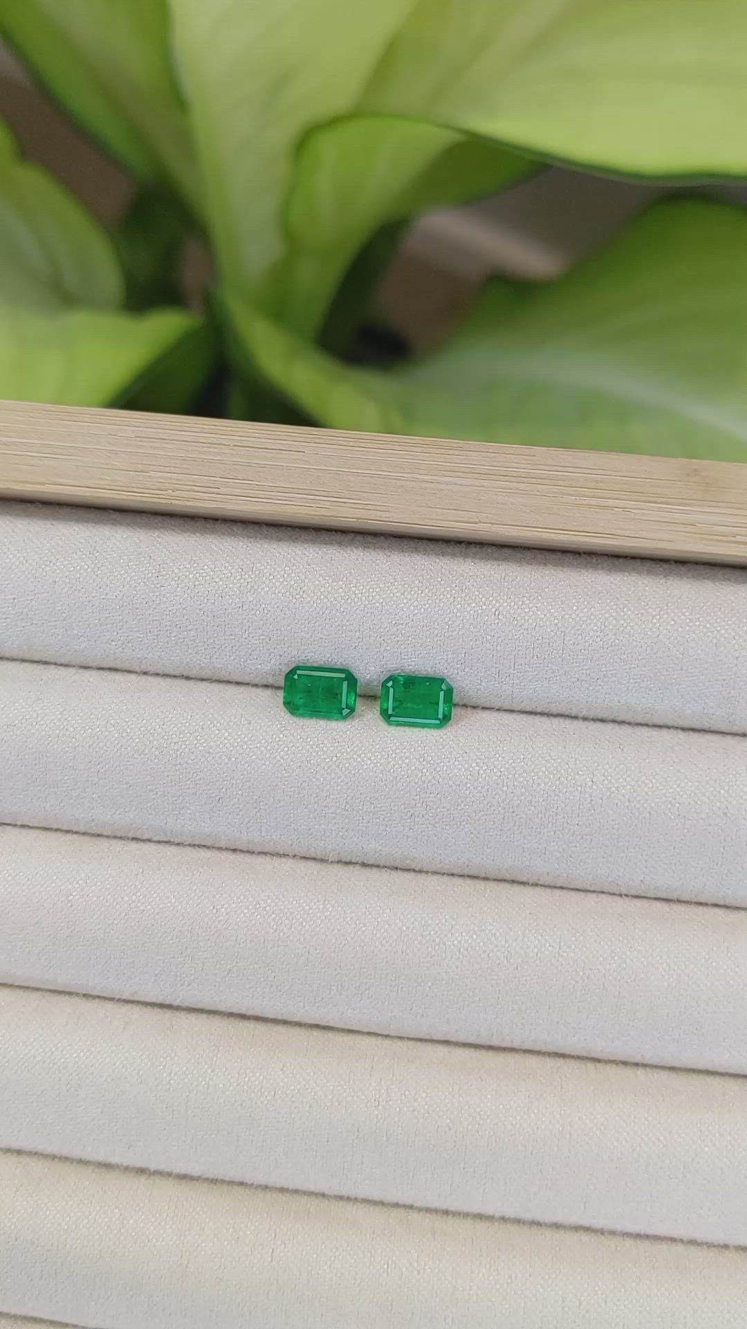1.38 Ct.Tw.Total Carat Weight Emerald Pair from Afghanistan Size Video