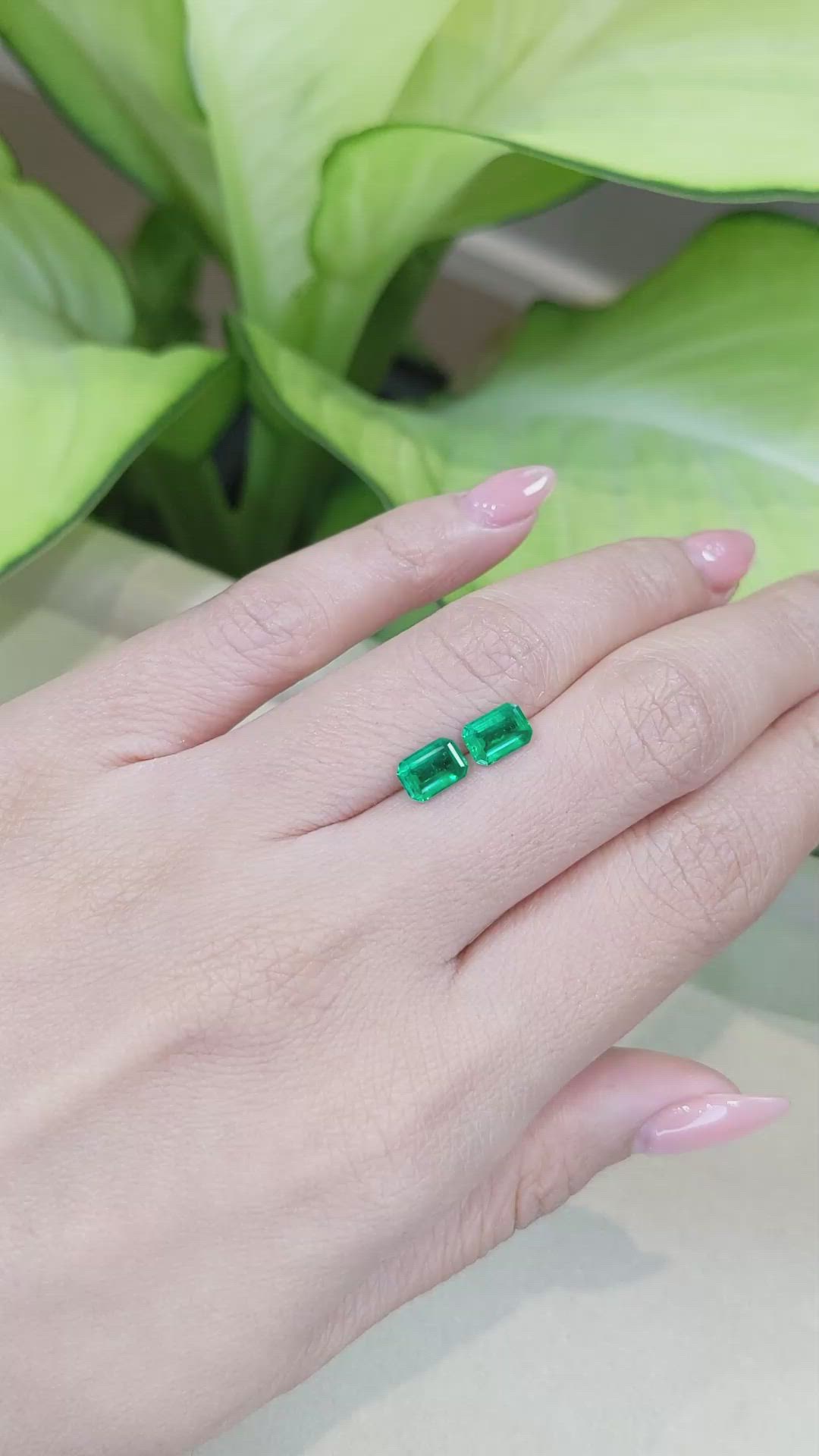 1.38 Ct.Tw.Total Carat Weight Emerald Pair from Afghanistan Size Video