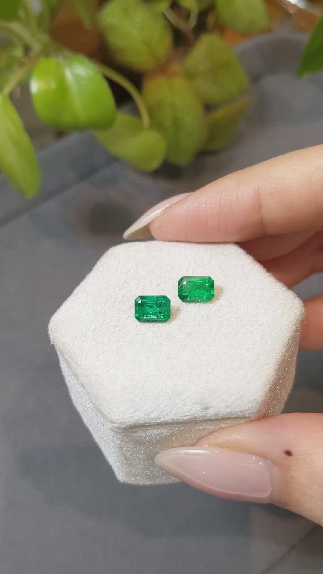 1.79 Ct.Tw.Total Carat Weight Emerald Pair from Afghanistan Size Video