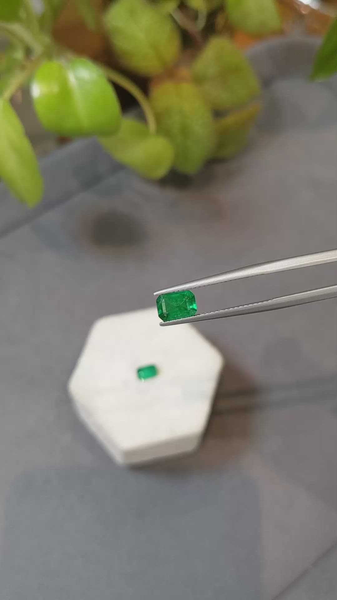 1.79 Ct.Tw.Total Carat Weight Emerald Pair from Afghanistan Size Video