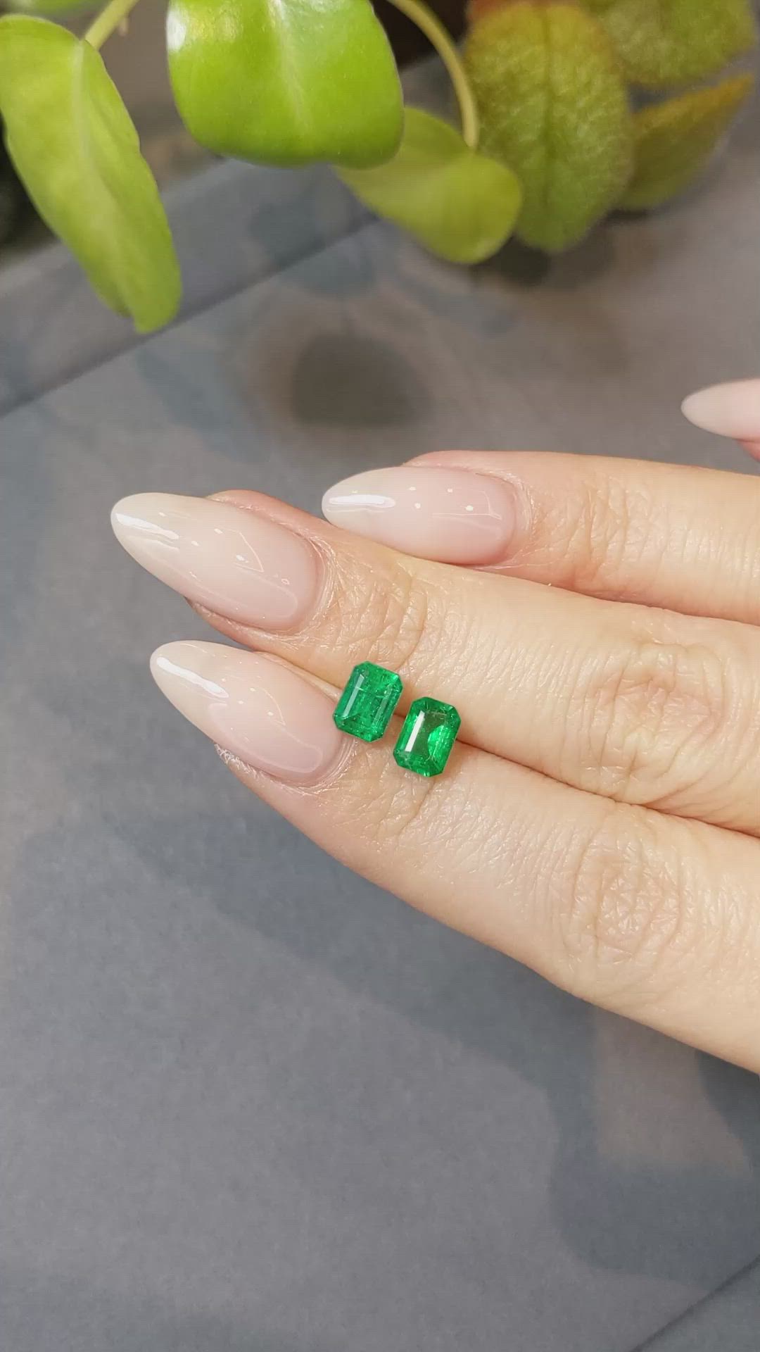 1.79 Ct.Tw.Total Carat Weight Emerald Pair from Afghanistan Size Video